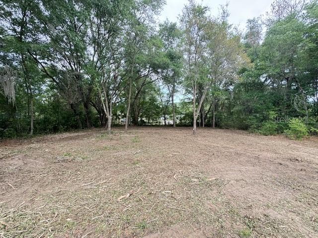 Land at TBD SW BEACH BLVD, DUNNELLON, photo 7 of 12