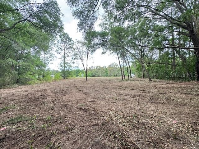 Land at TBD SW BEACH BLVD, DUNNELLON, photo 8 of 12