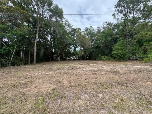 Land at TBD SW BEACH BLVD, DUNNELLON, photo 9 of 12