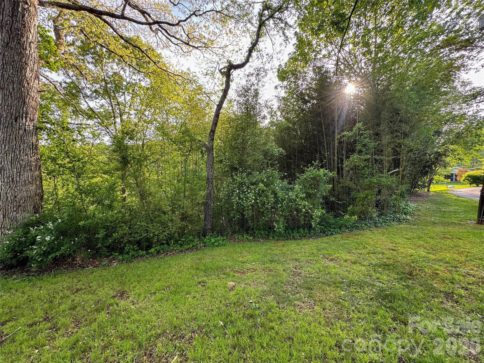 None at Waynesville, photo 20 of 24