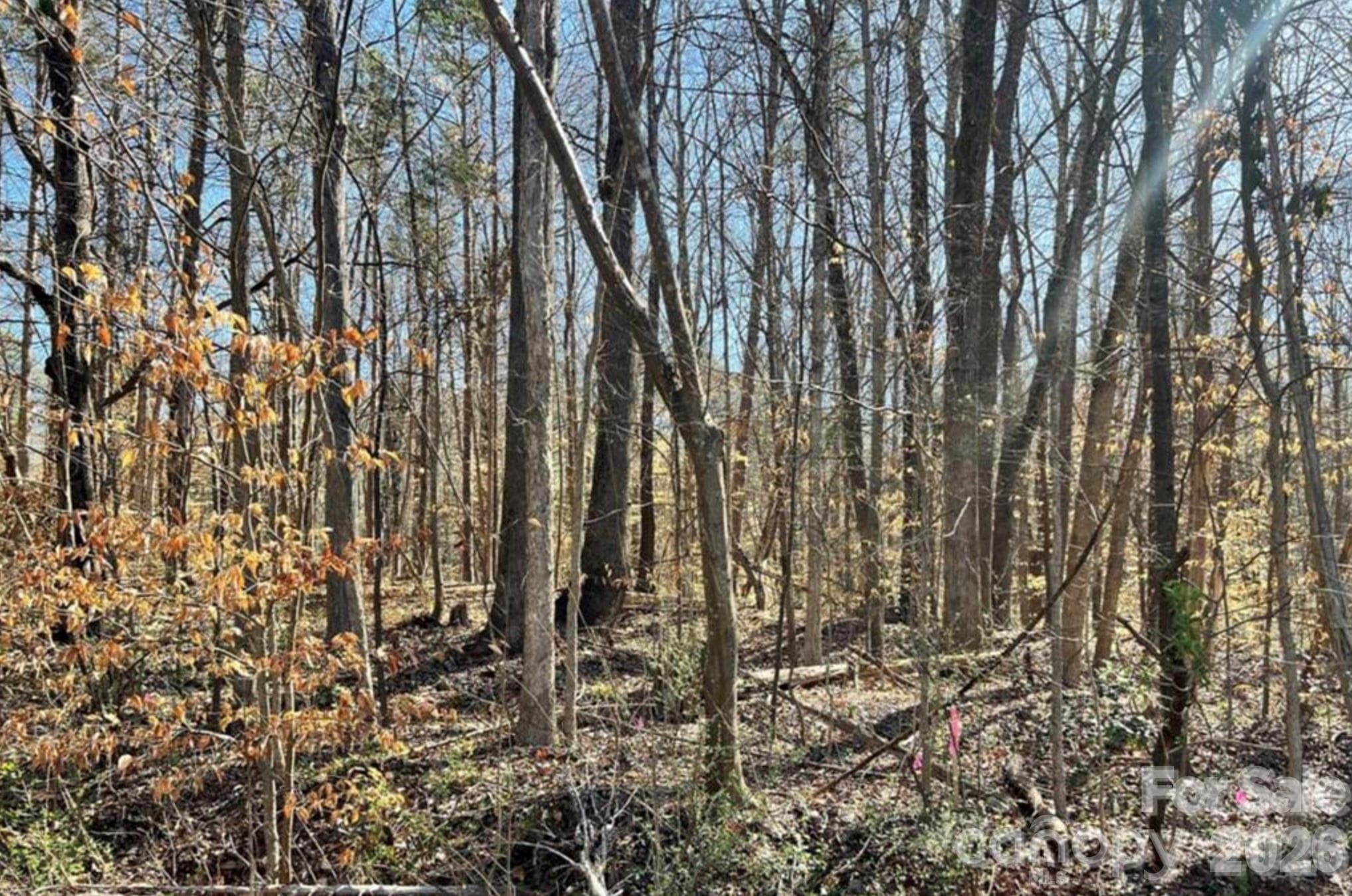 Lot at Fort Mill, photo 2 of 3