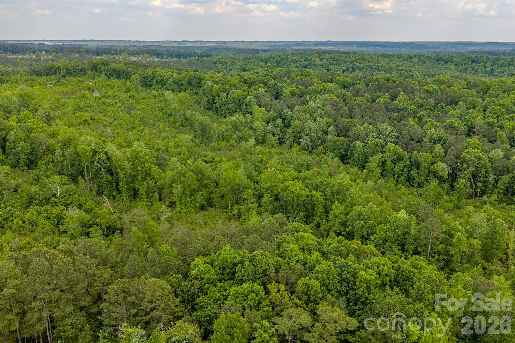 Acreage at 0 Hwy 731 Highway E, Candor, photo 2 of 48