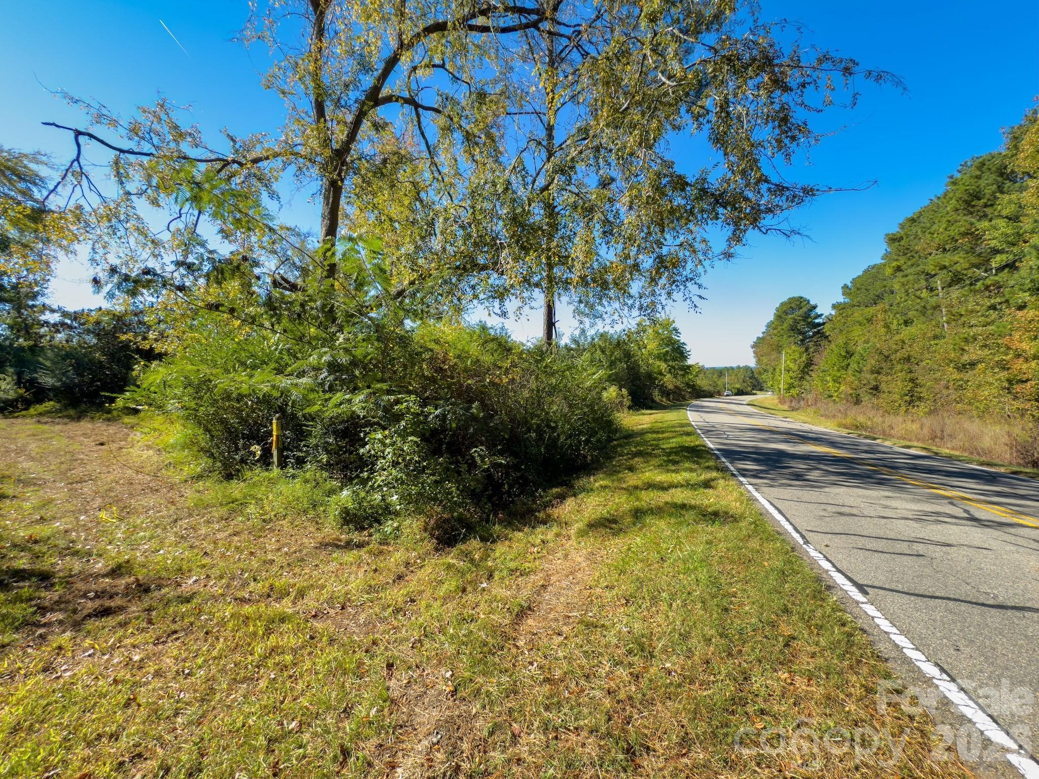 Acreage at 0 Hwy 731 Highway E, Candor, photo 4 of 48
