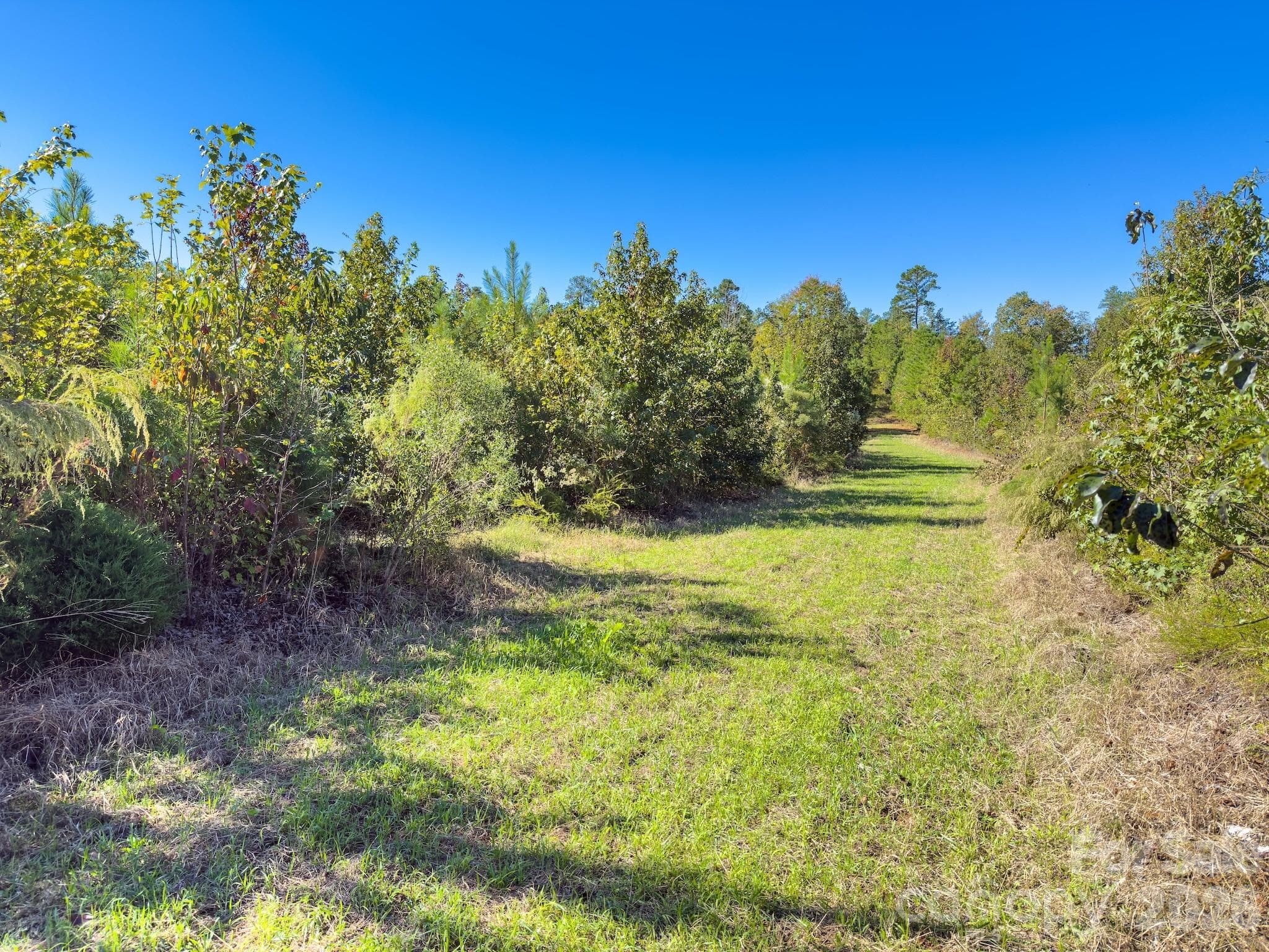 Acreage at 0 Hwy 731 Highway E, Candor, photo 5 of 48