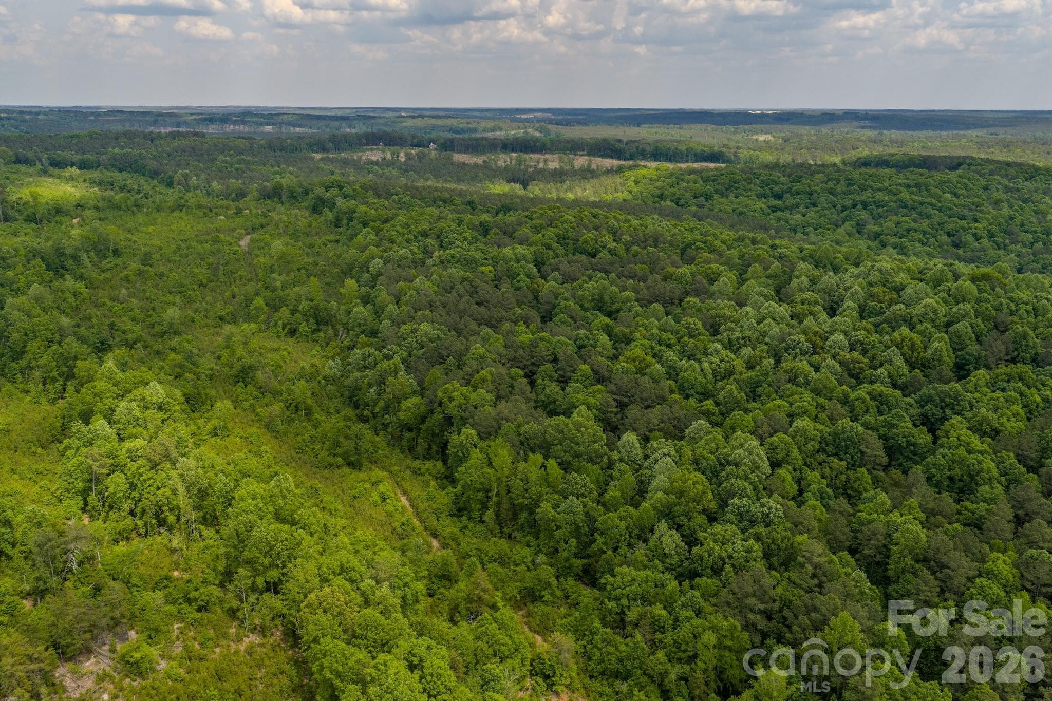 Acreage at 0 Hwy 731 Highway E, Candor, photo 7 of 48
