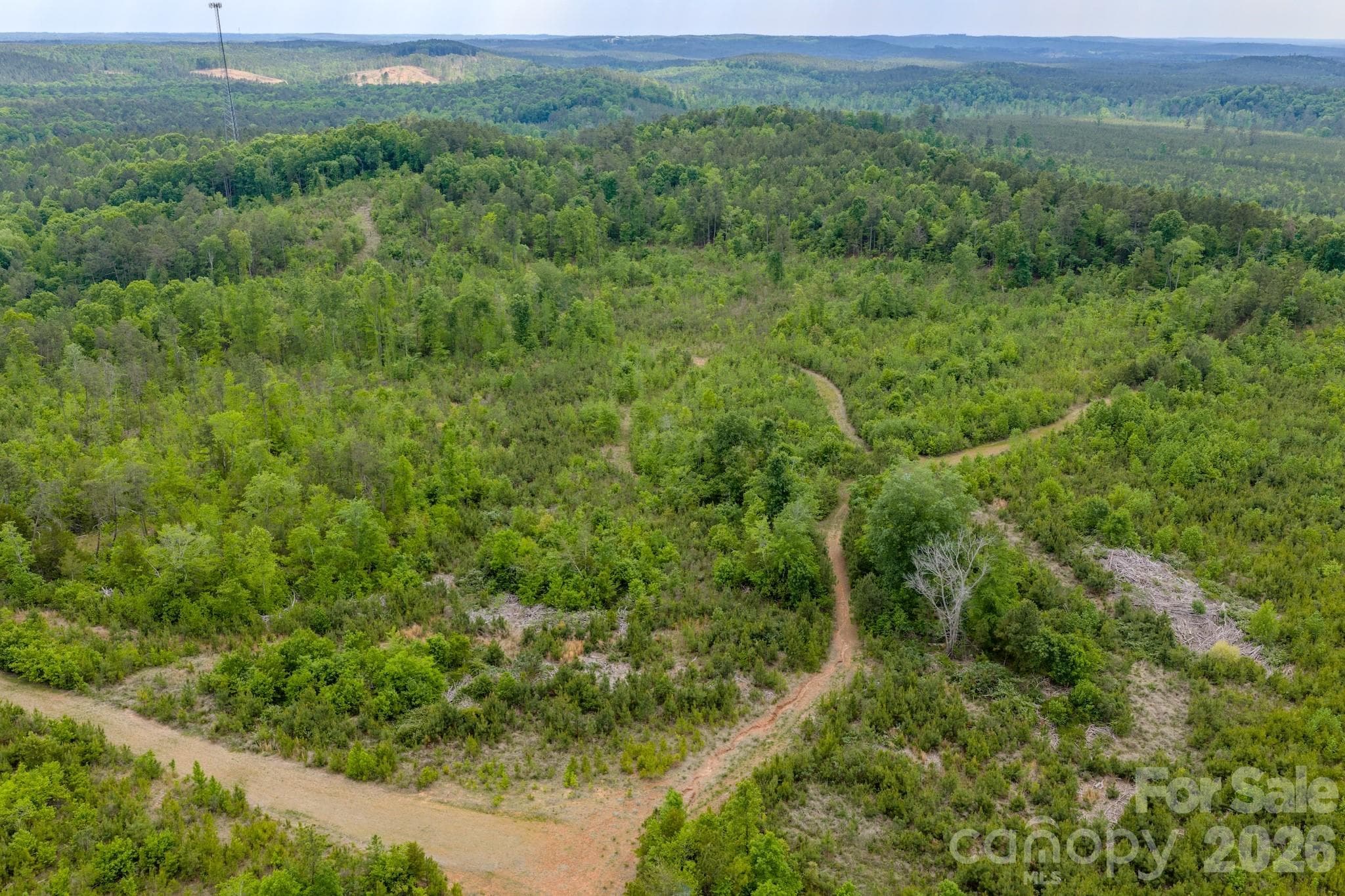 Acreage at 0 Hwy 731 Highway E, Candor, photo 8 of 48