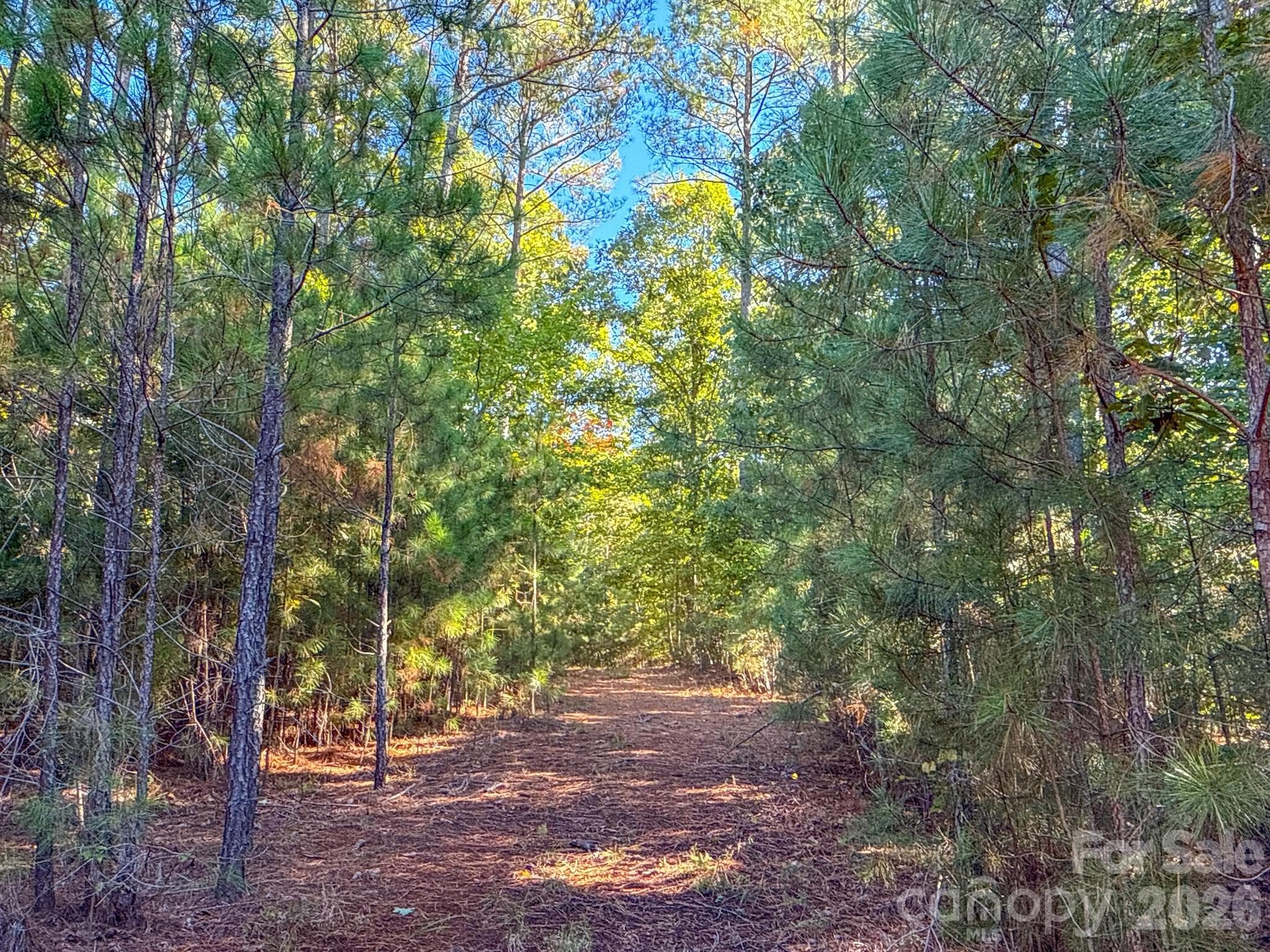 Acreage at 0 Hwy 731 Highway E, Candor, photo 10 of 48