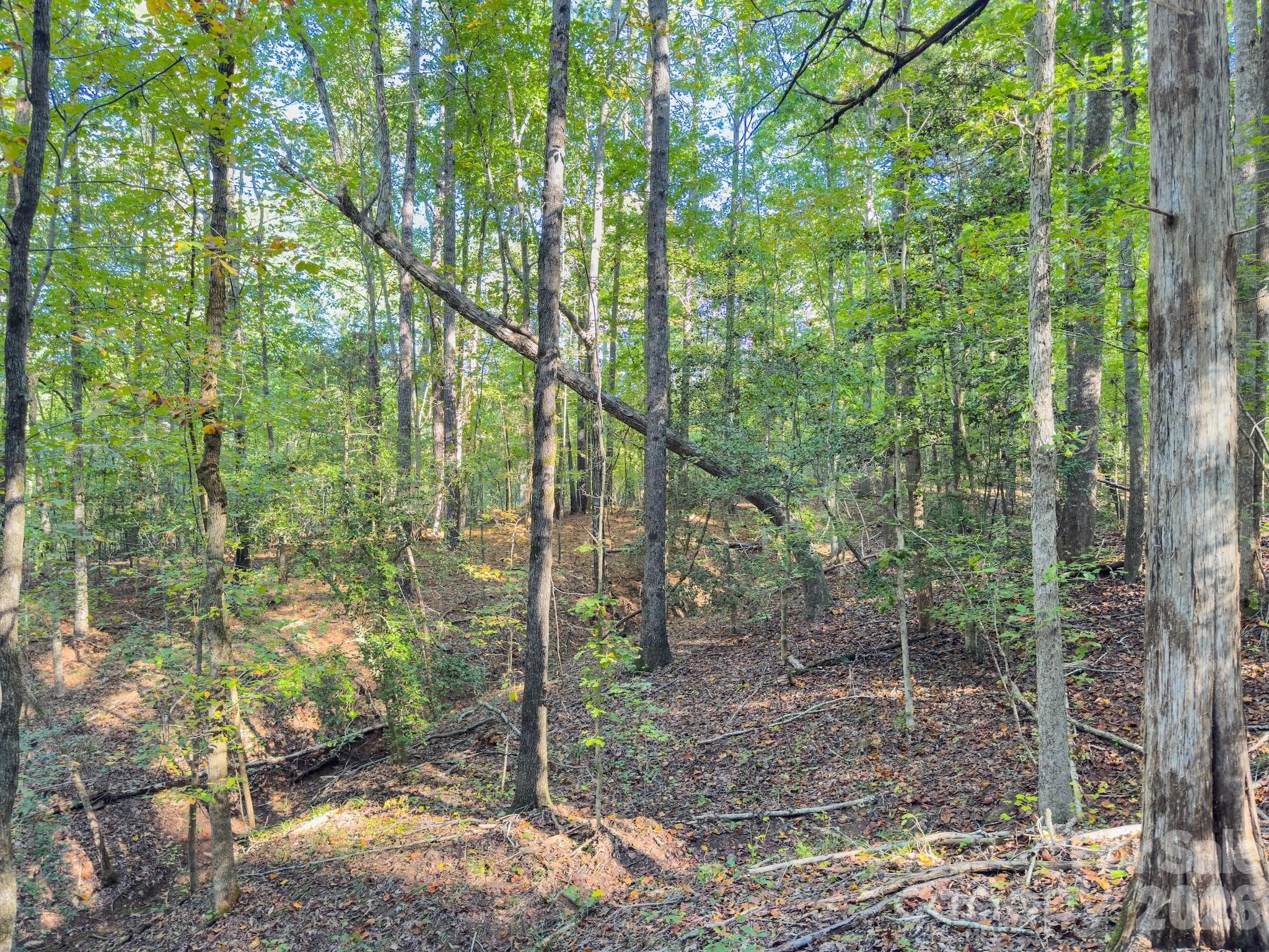 Acreage at 0 Hwy 731 Highway E, Candor, photo 12 of 48