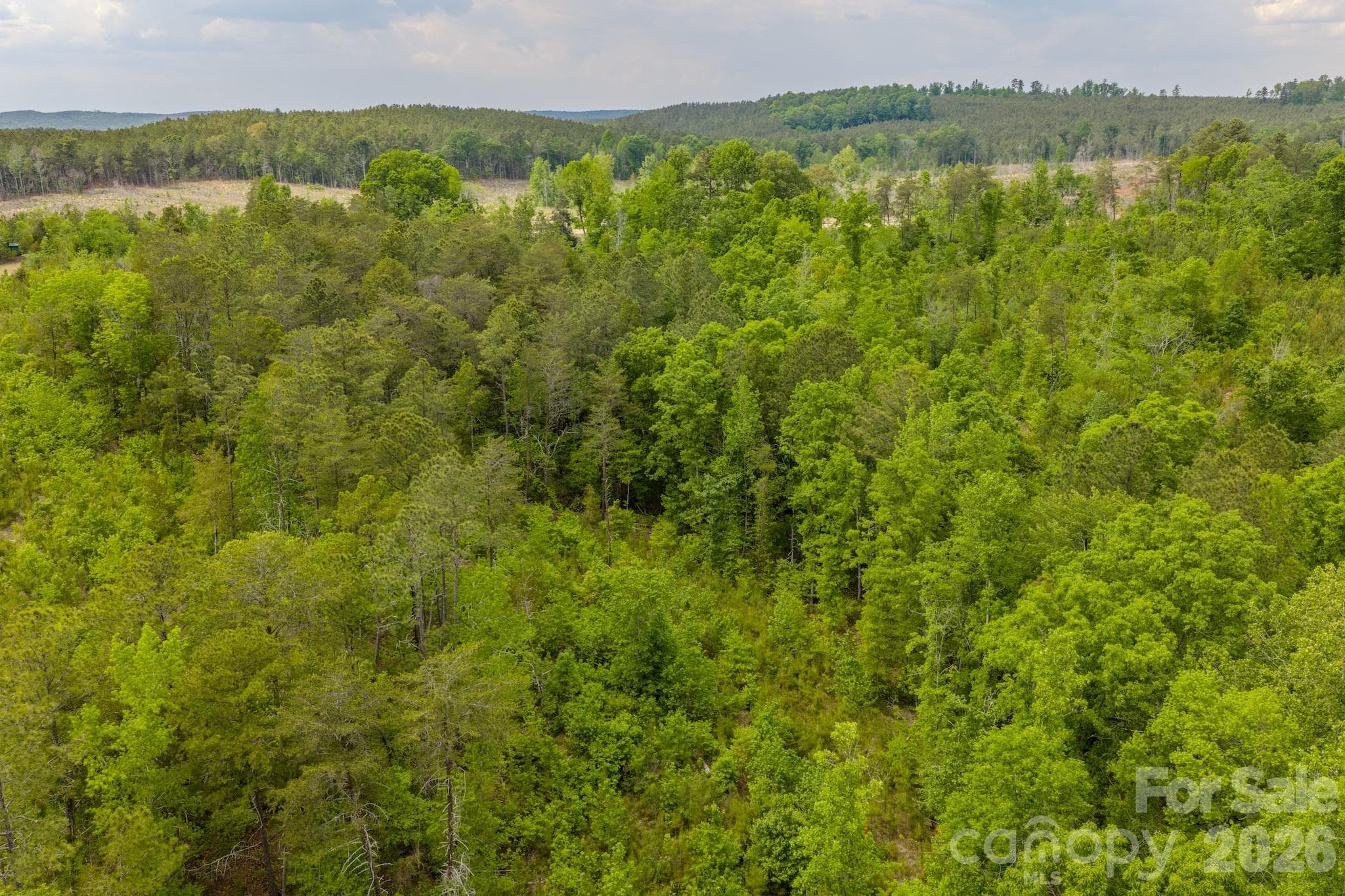 Acreage at 0 Hwy 731 Highway E, Candor, photo 14 of 48