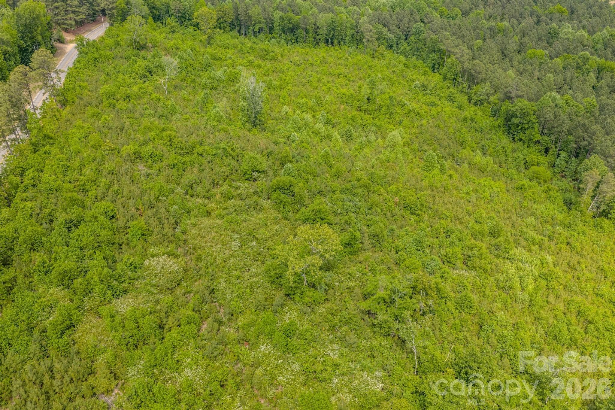 Acreage at 0 Hwy 731 Highway E, Candor, photo 15 of 48