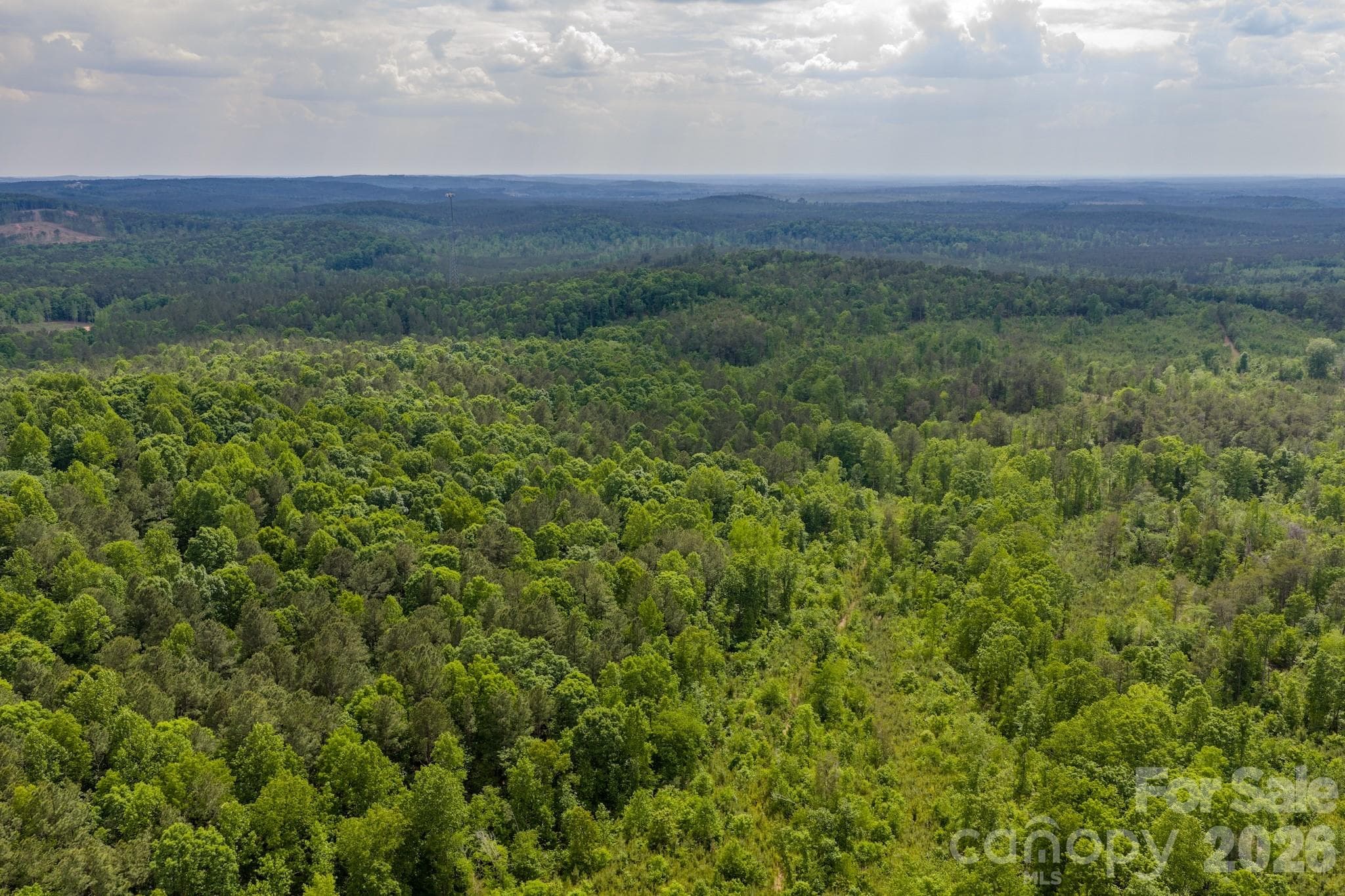 Acreage at 0 Hwy 731 Highway E, Candor, photo 16 of 48