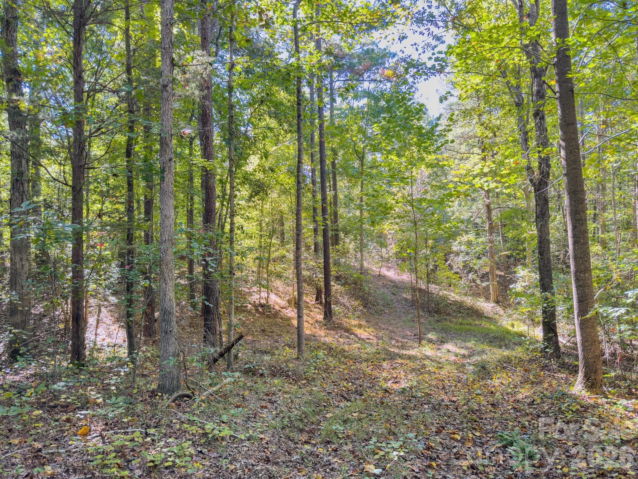 Acreage at 0 Hwy 731 Highway E, Candor, photo 17 of 48