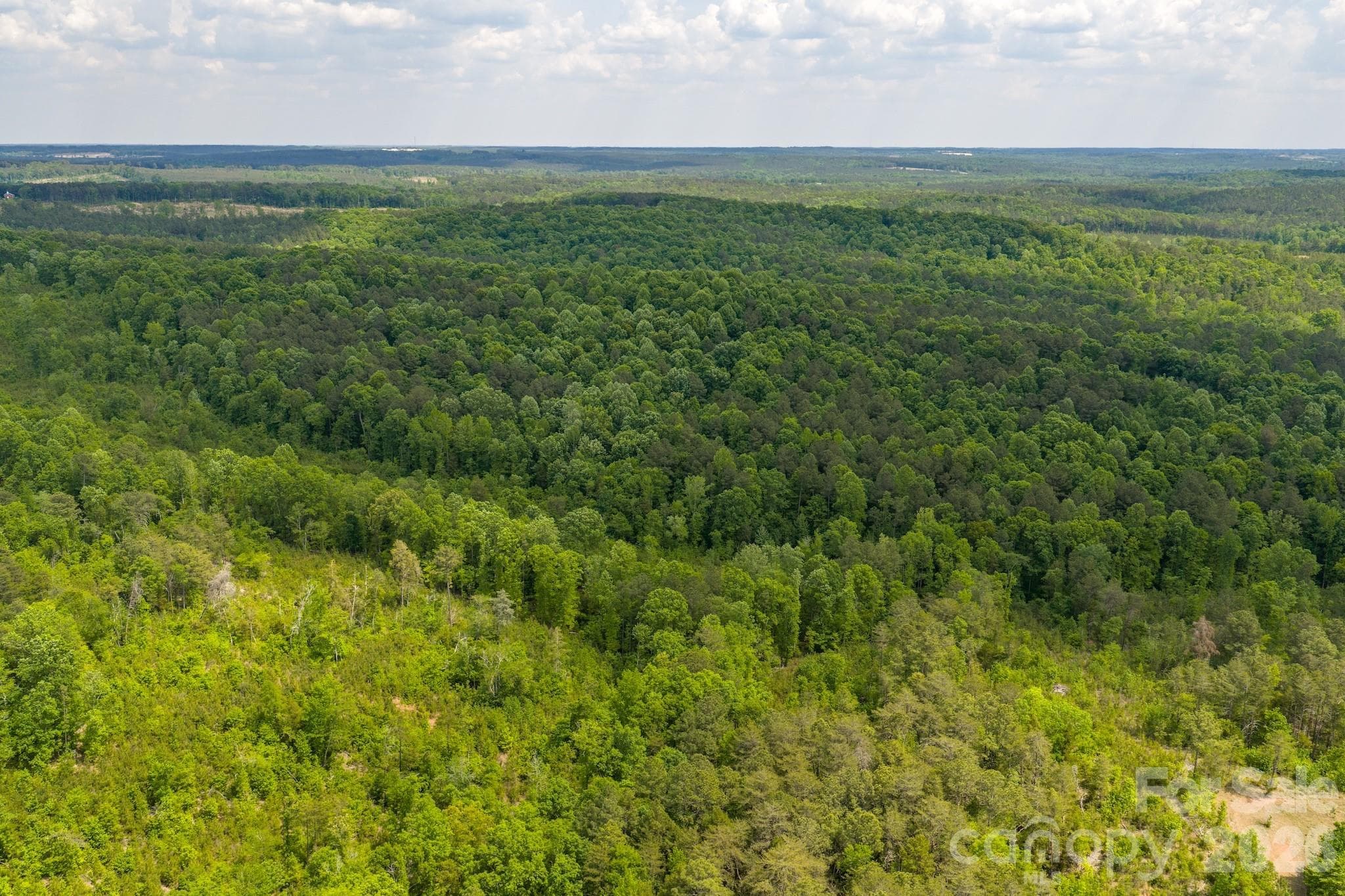 Acreage at 0 Hwy 731 Highway E, Candor, photo 21 of 48