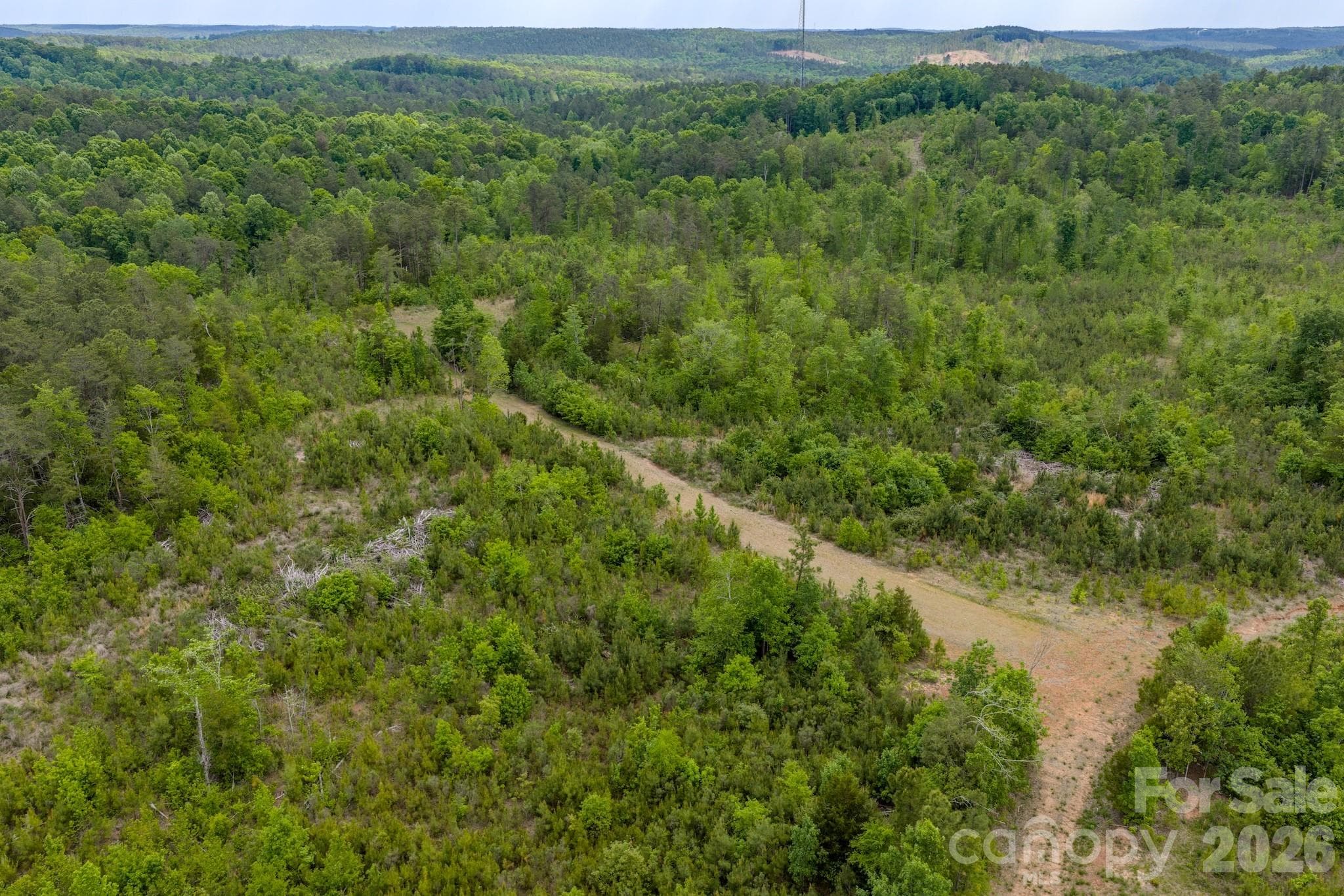 Acreage at 0 Hwy 731 Highway E, Candor, photo 22 of 48