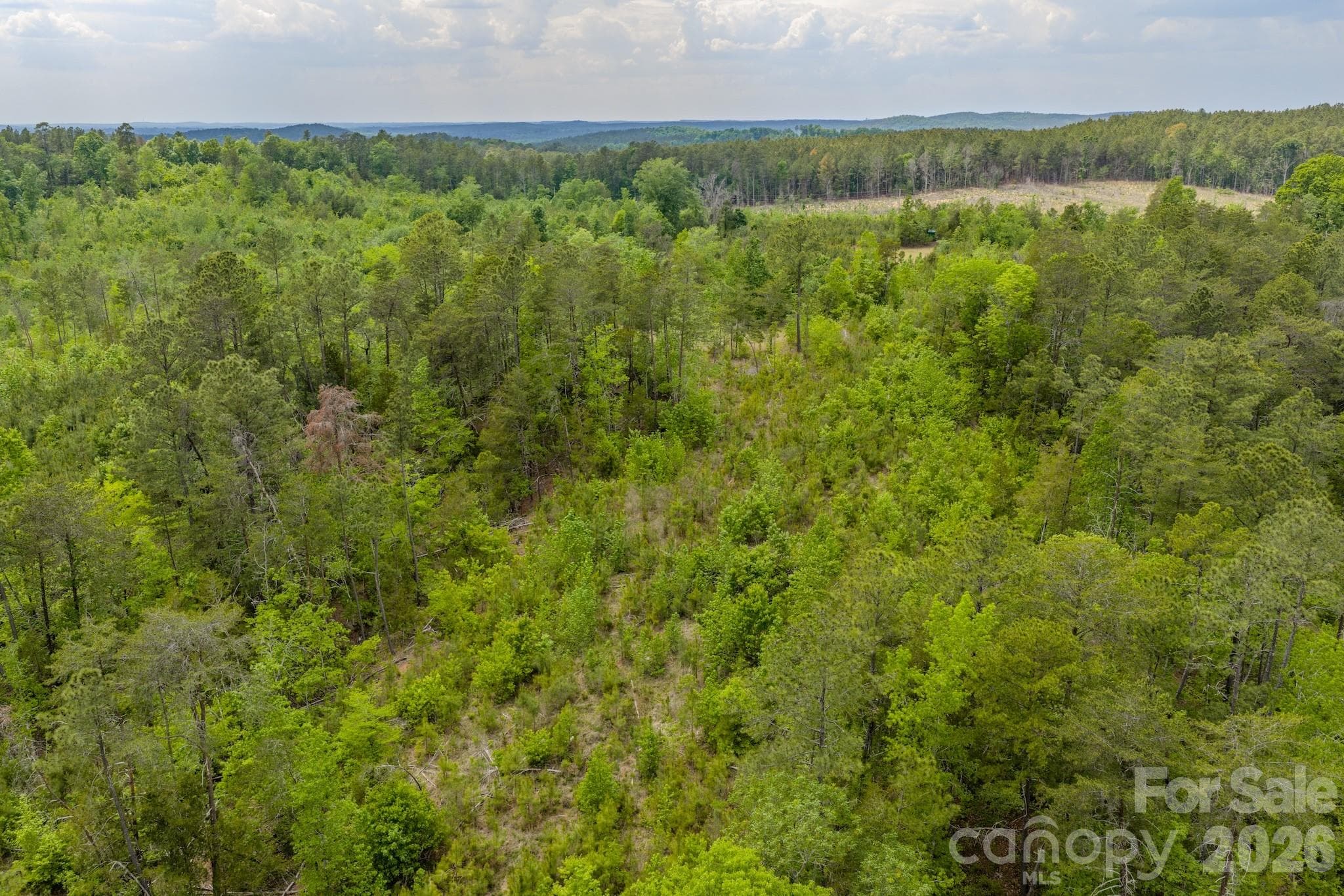 Acreage at 0 Hwy 731 Highway E, Candor, photo 23 of 48
