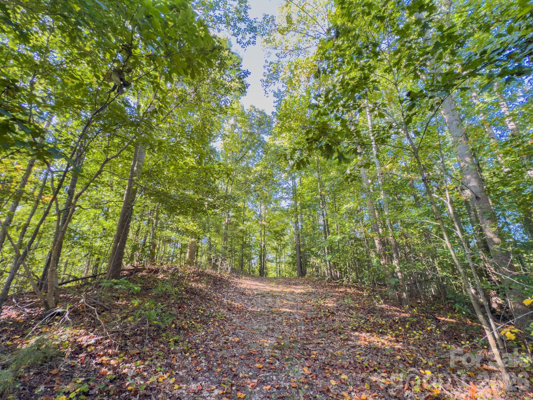 Acreage at 0 Hwy 731 Highway E, Candor, photo 24 of 48
