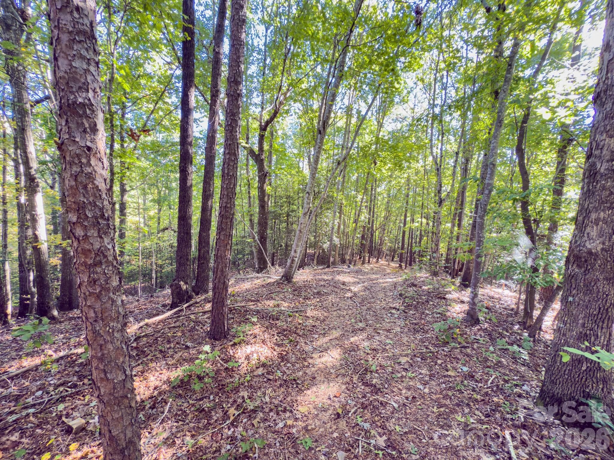 Acreage at 0 Hwy 731 Highway E, Candor, photo 27 of 48