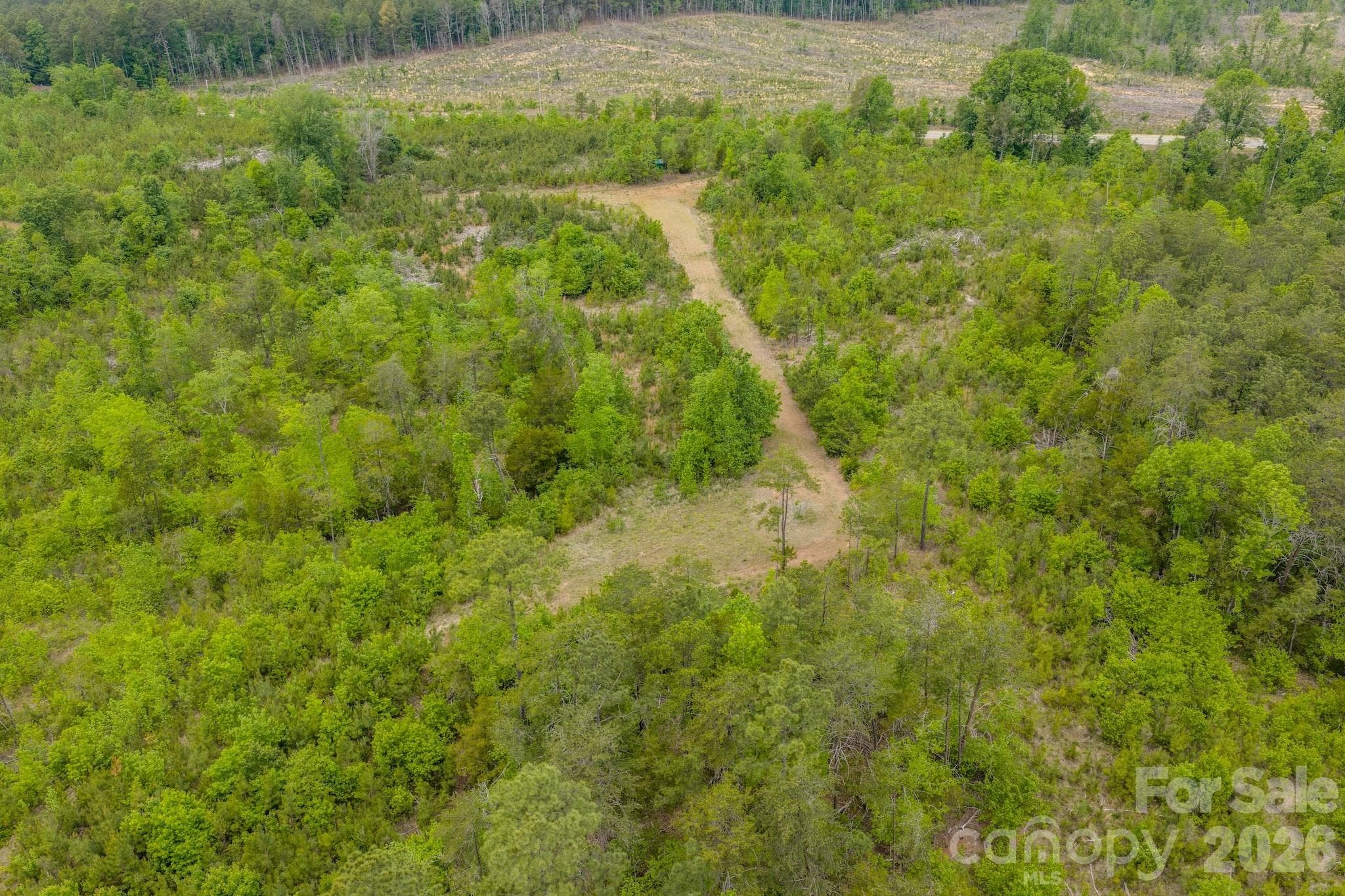 Acreage at 0 Hwy 731 Highway E, Candor, photo 28 of 48
