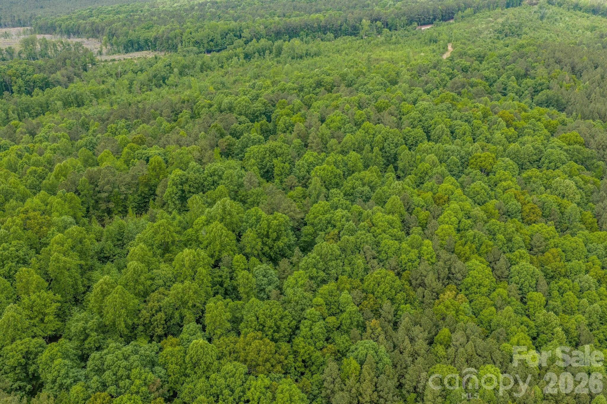 Acreage at 0 Hwy 731 Highway E, Candor, photo 29 of 48