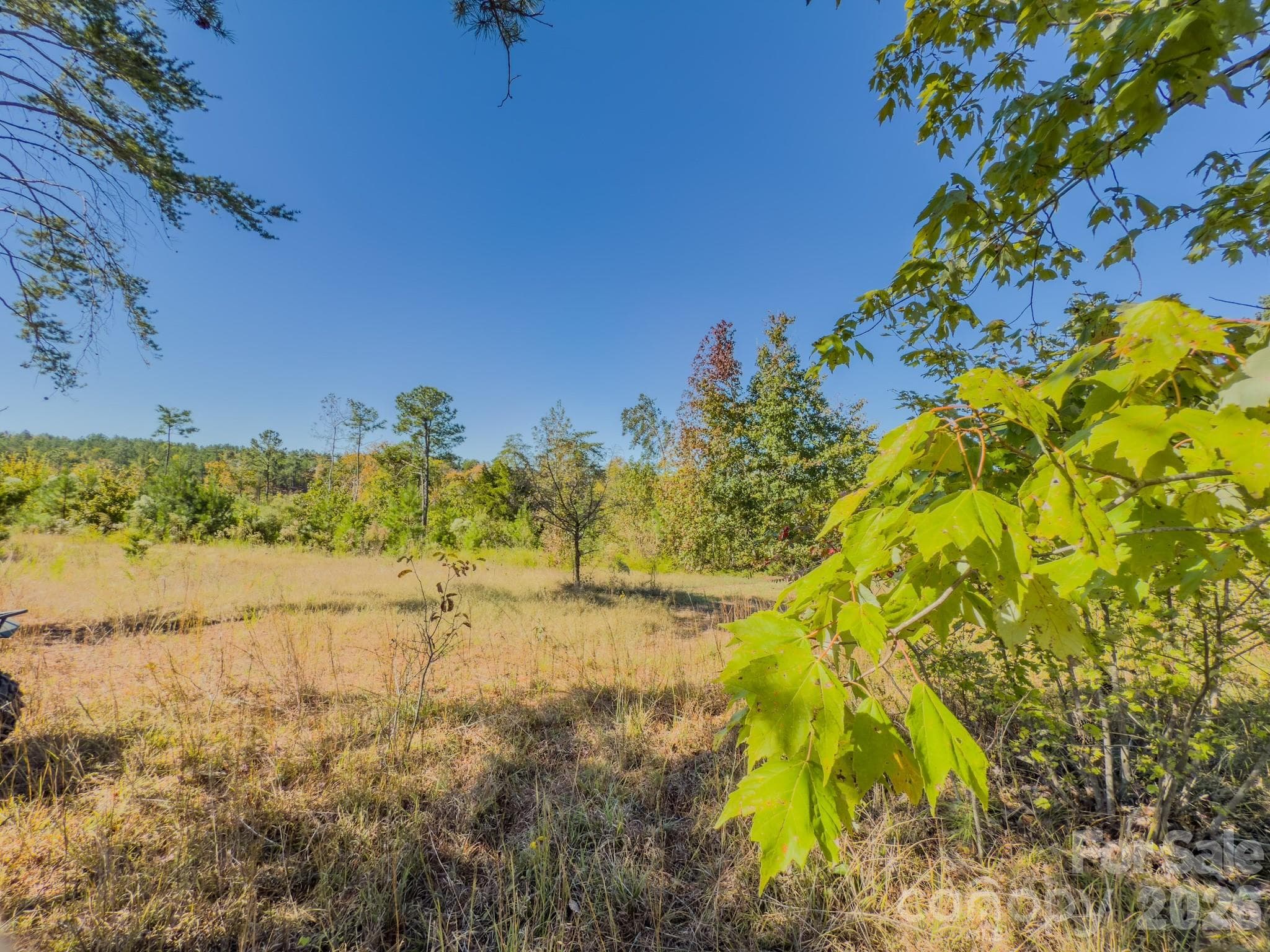 Acreage at 0 Hwy 731 Highway E, Candor, photo 33 of 48