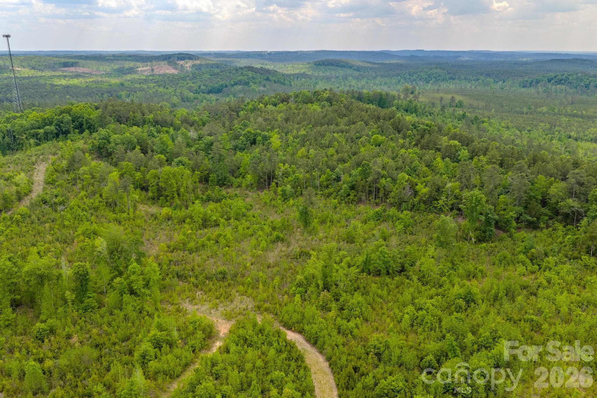 Acreage at 0 Hwy 731 Highway E, Candor, photo 38 of 48