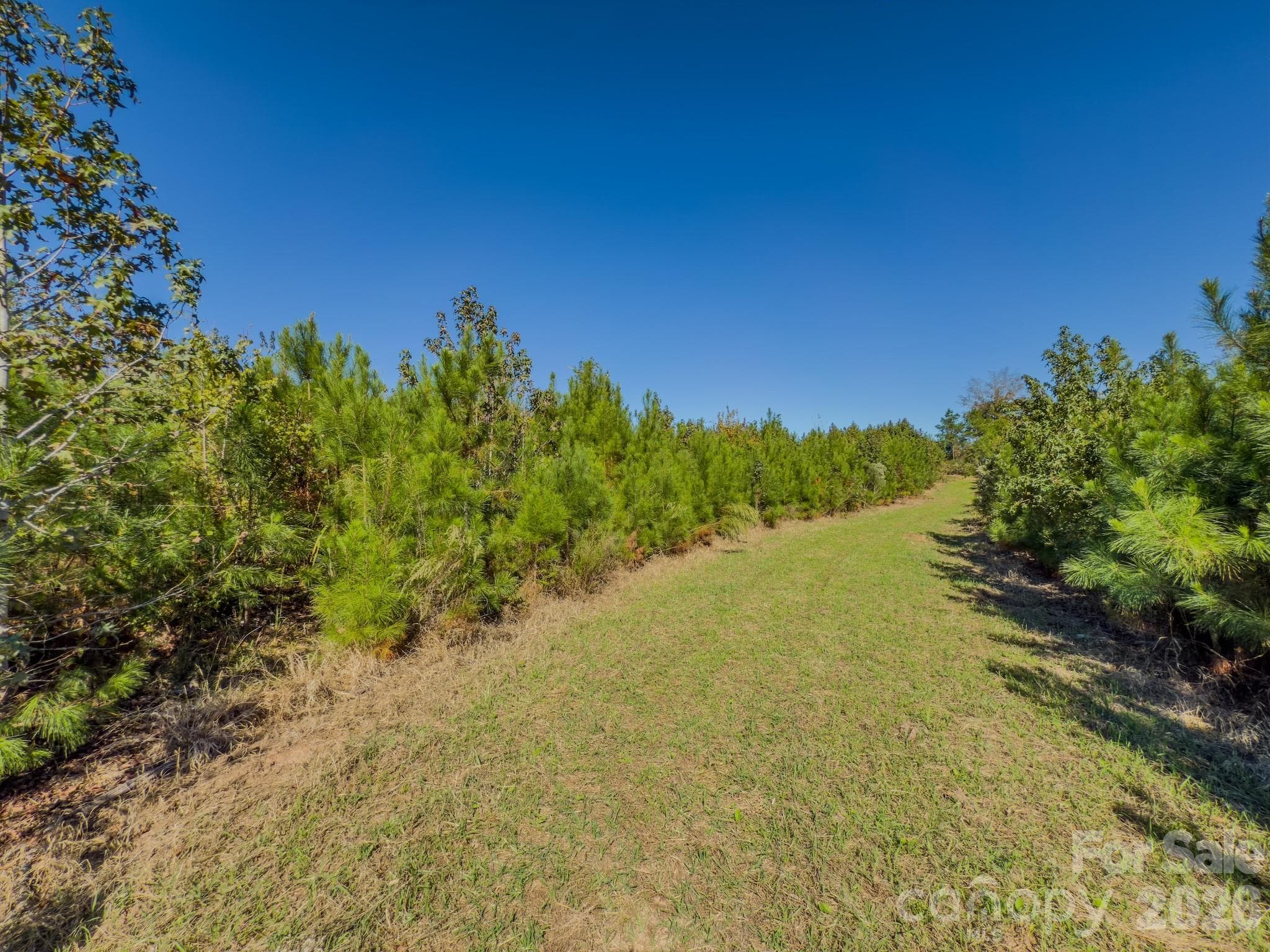 Acreage at 0 Hwy 731 Highway E, Candor, photo 43 of 48