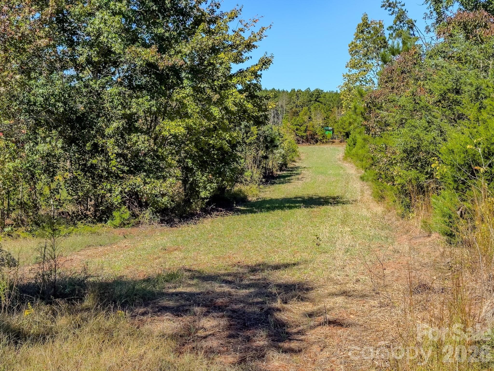 Acreage at 0 Hwy 731 Highway E, Candor, photo 44 of 48