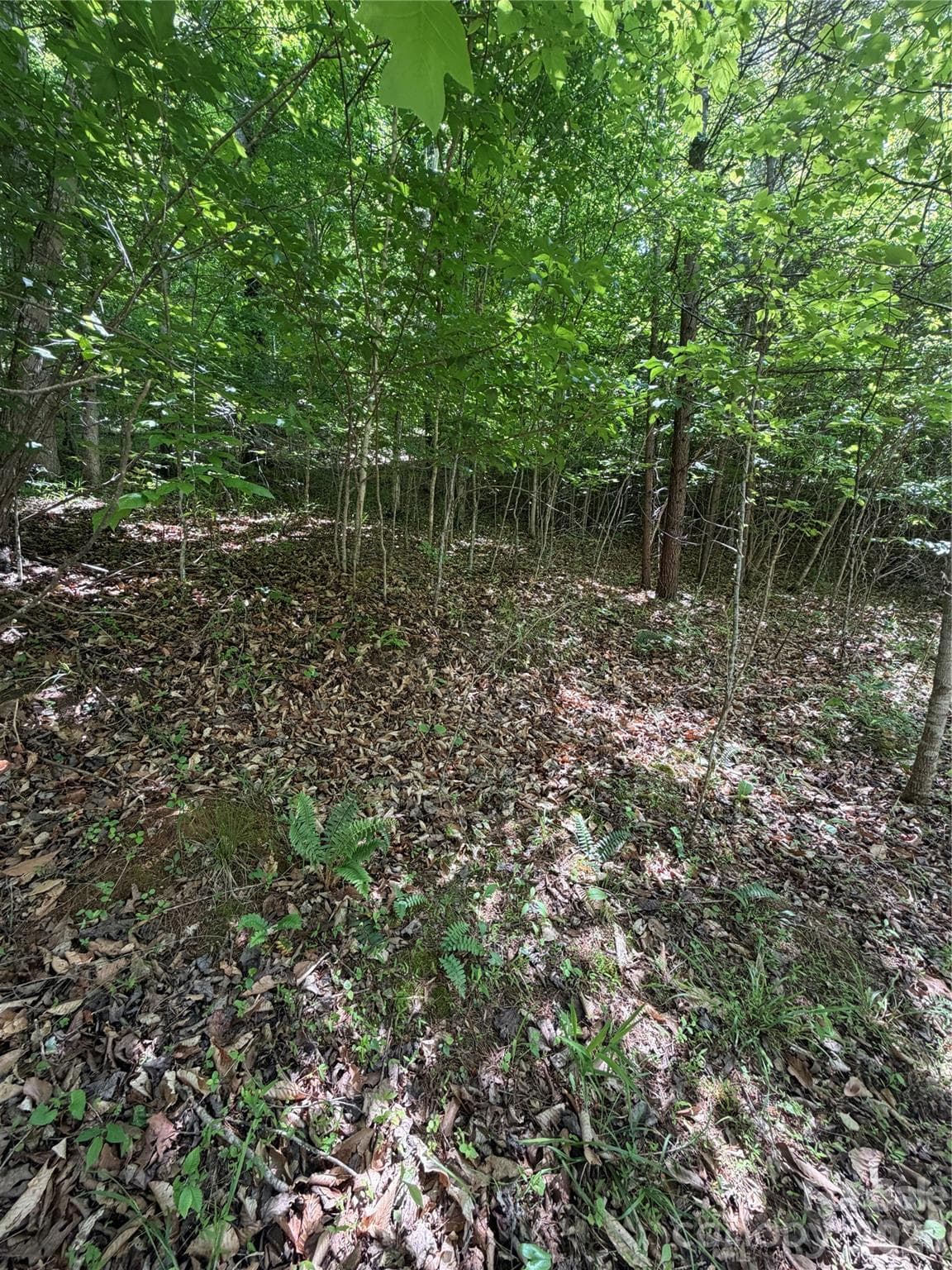 Lot at 0 Creekside Circle, Rutherfordton, photo 4 of 20