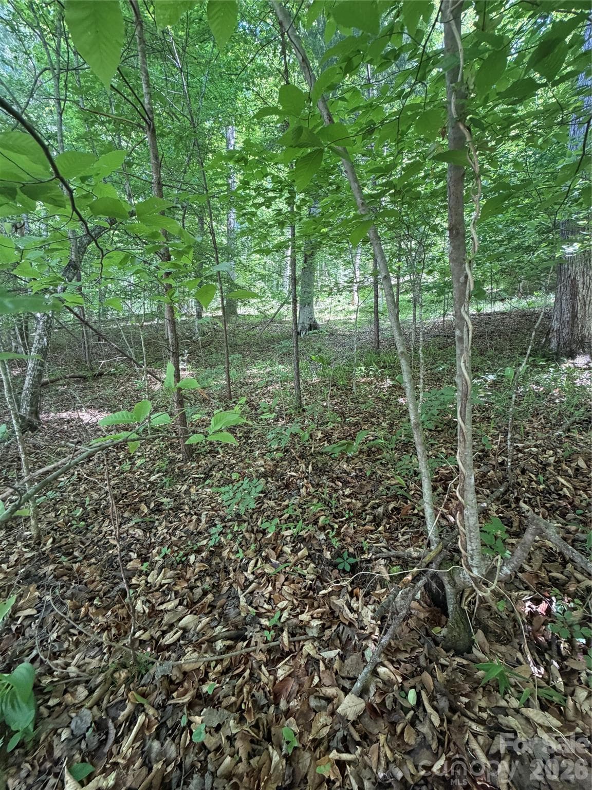 Lot at 0 Creekside Circle, Rutherfordton, photo 6 of 20