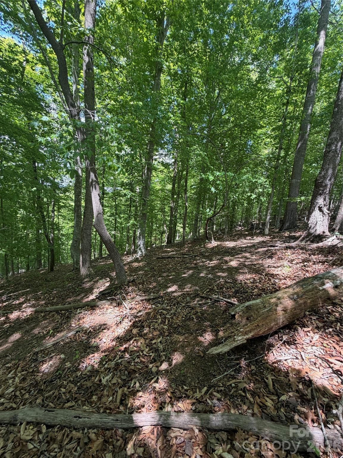 Lot at Rutherfordton, photo 8 of 20