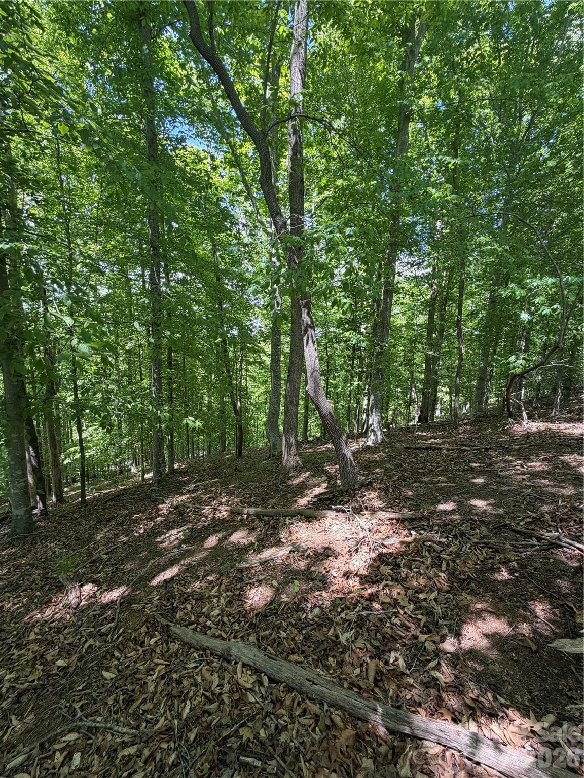 Lot at 0 Creekside Circle, Rutherfordton, photo 9 of 20