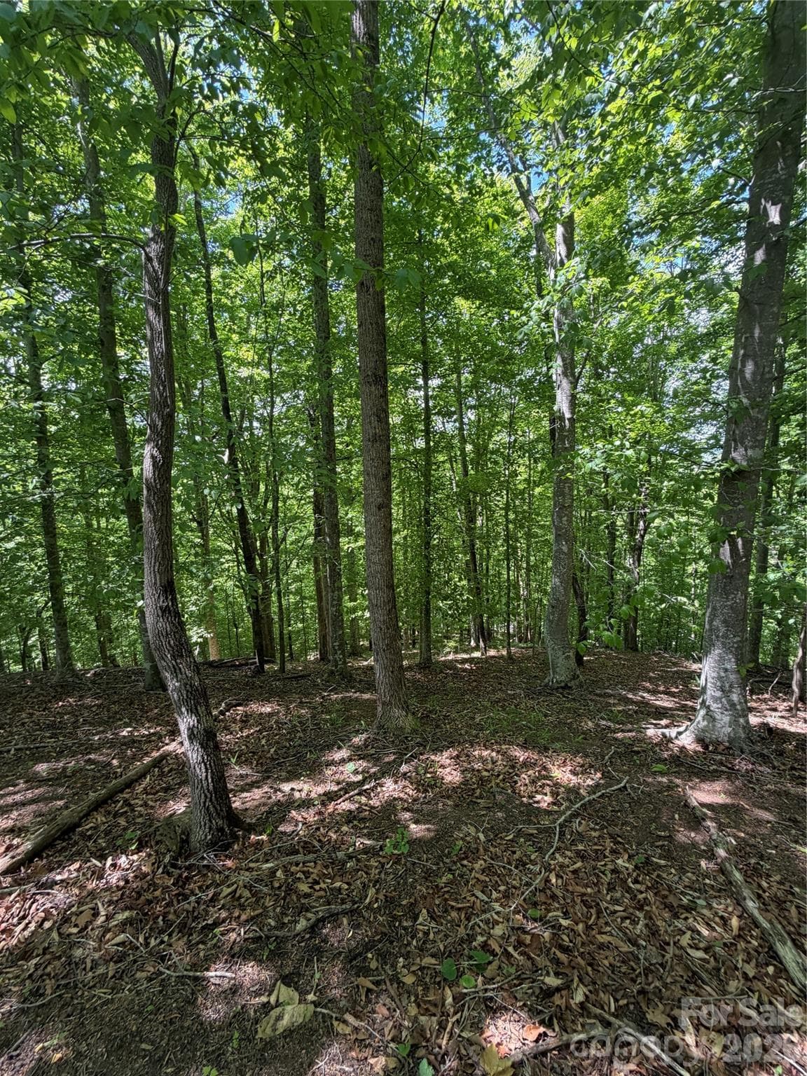 Lot at 0 Creekside Circle, Rutherfordton, photo 10 of 20