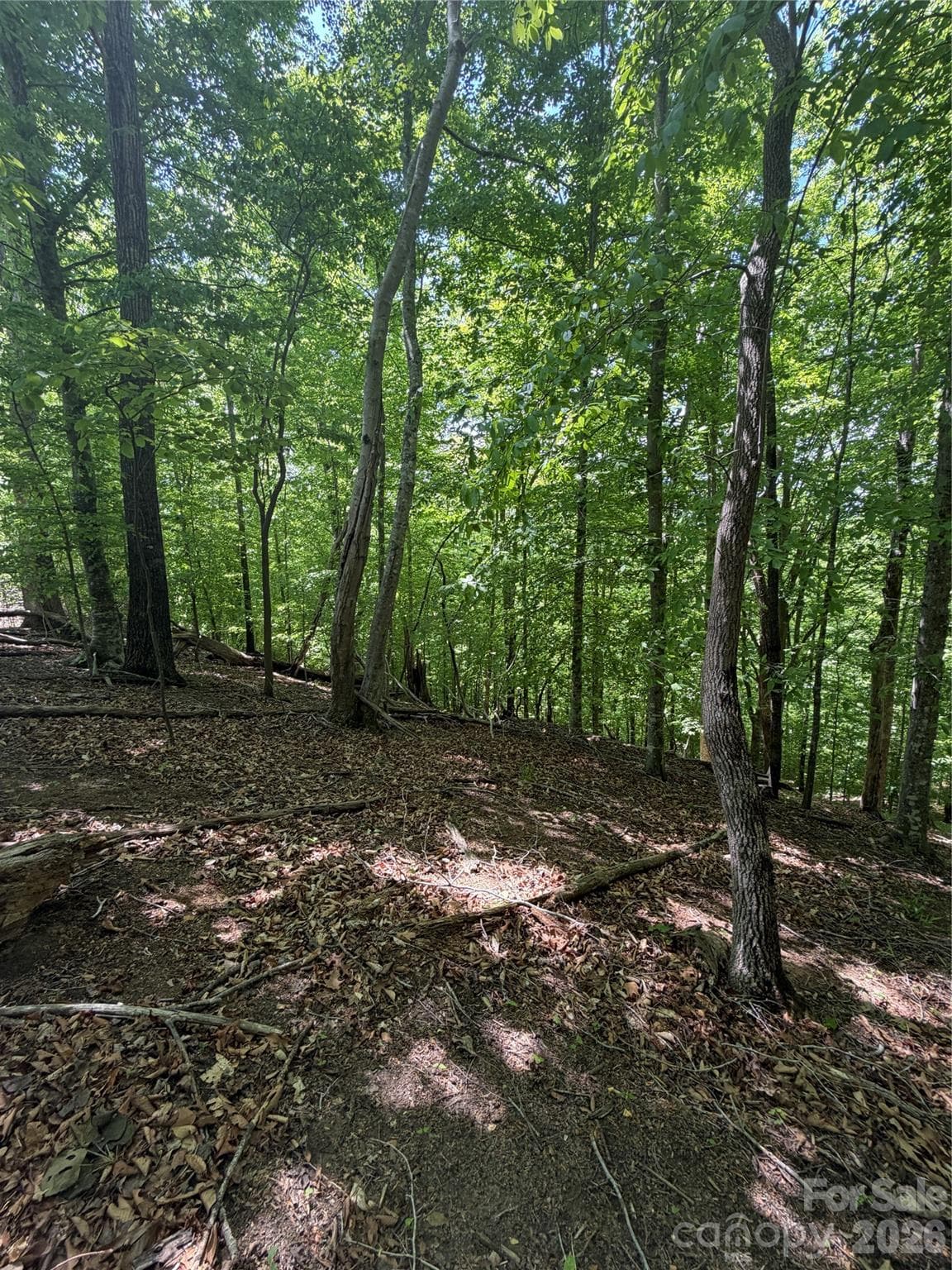 Lot at 0 Creekside Circle, Rutherfordton, photo 12 of 20