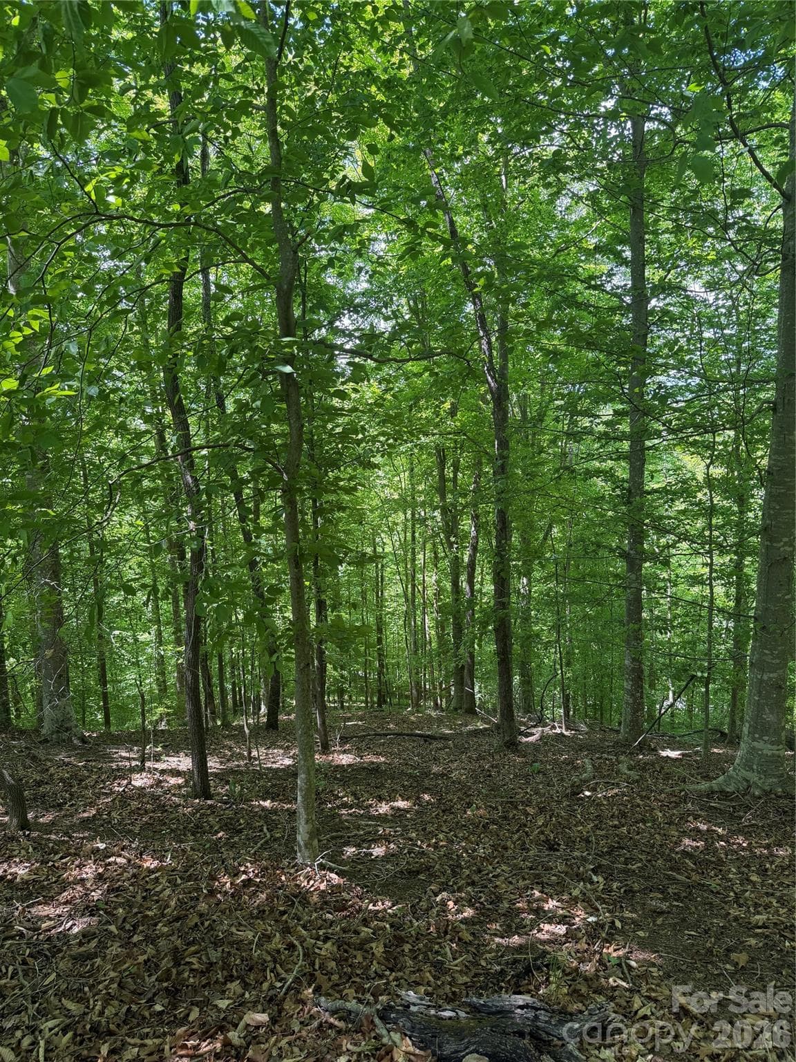 Lot at 0 Creekside Circle, Rutherfordton, photo 13 of 20