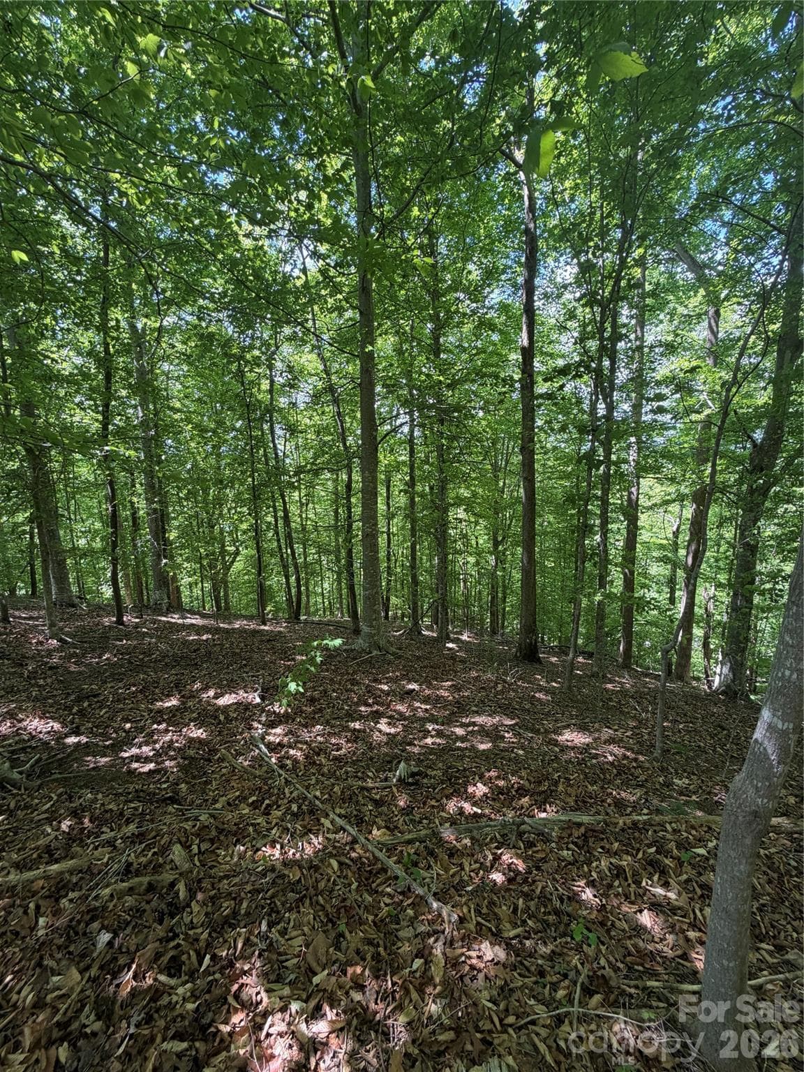 Lot at 0 Creekside Circle, Rutherfordton, photo 14 of 20