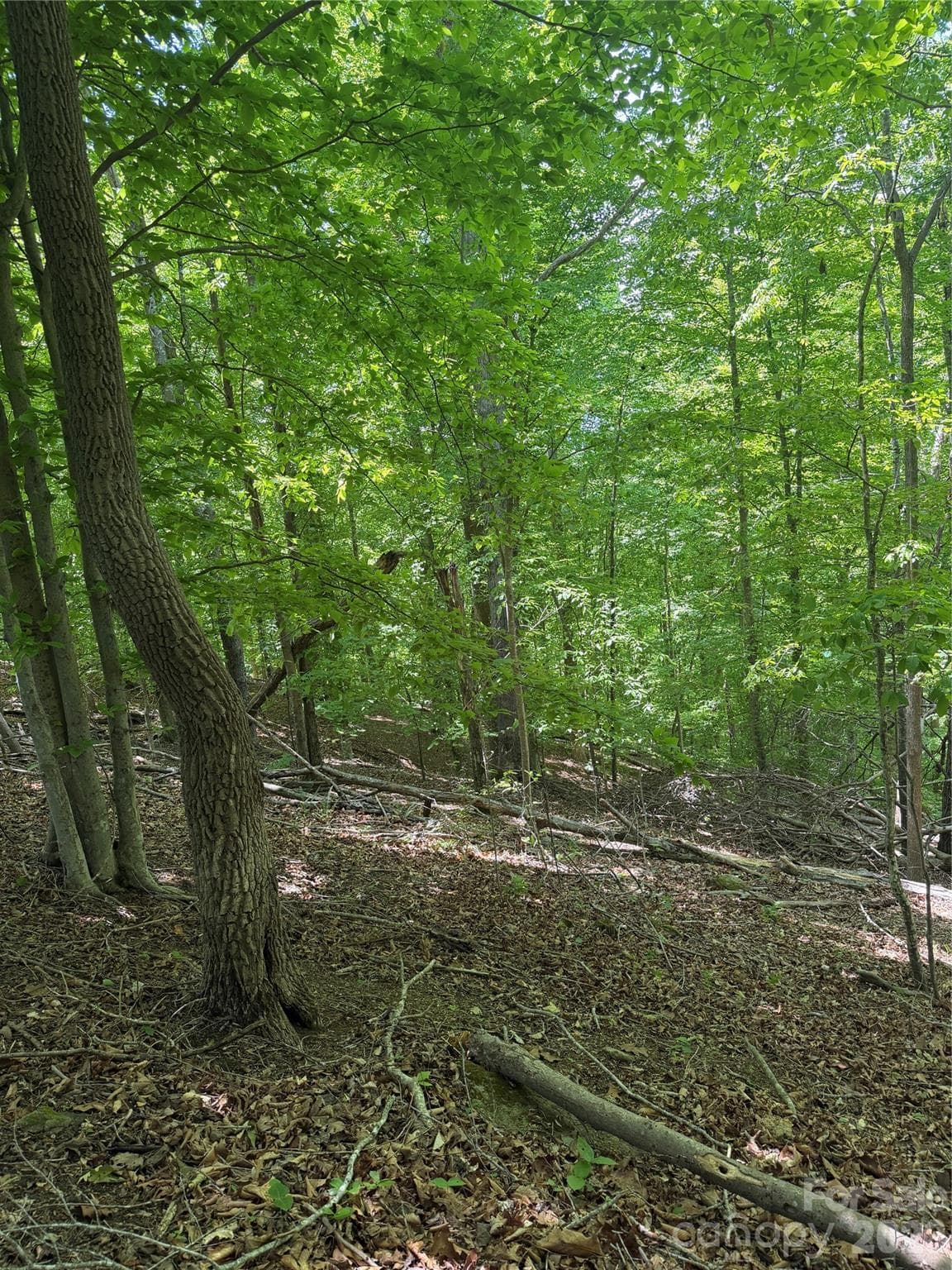 Lot at 0 Creekside Circle, Rutherfordton, photo 18 of 20