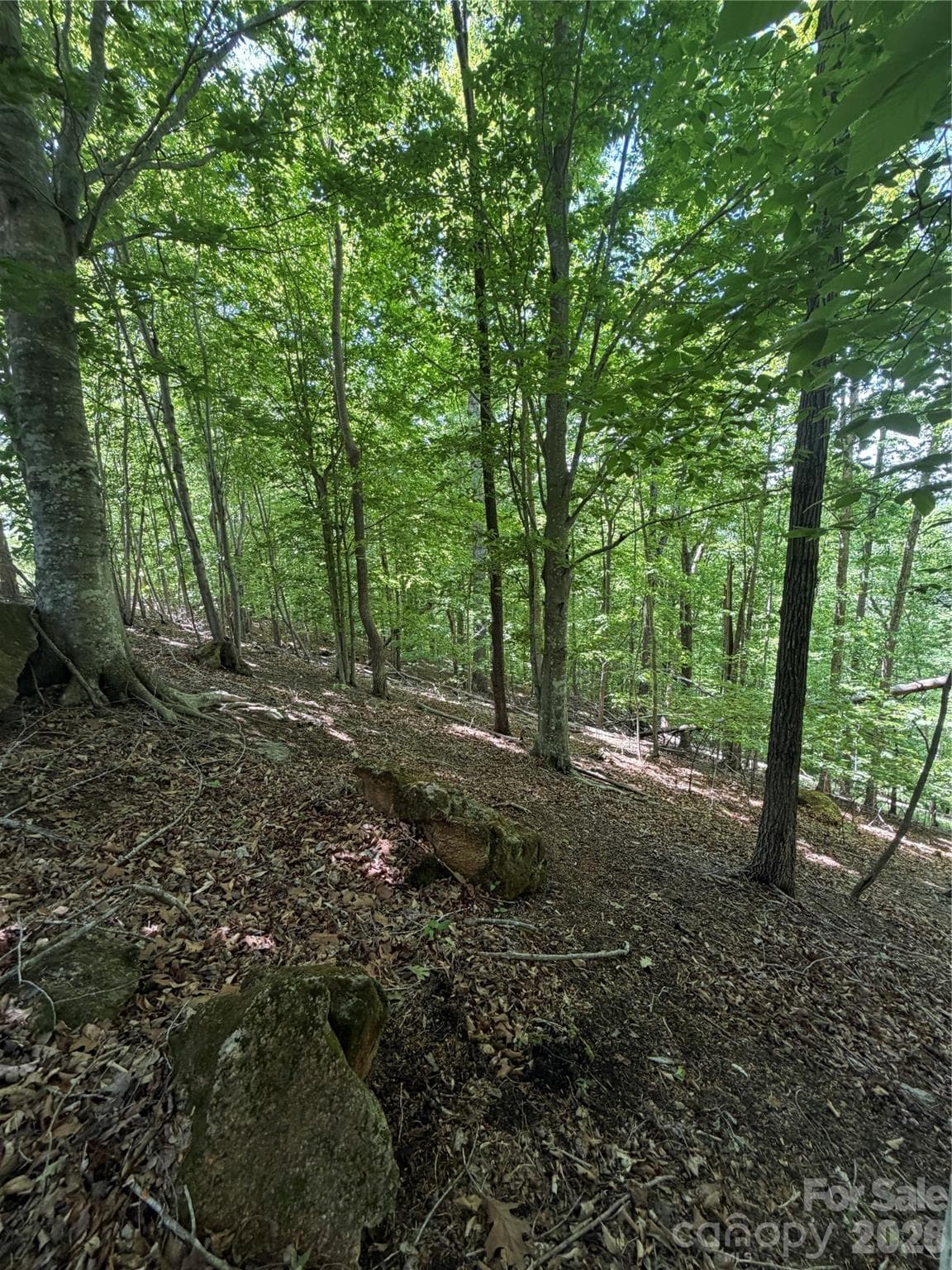 Lot at Rutherfordton, photo 20 of 20