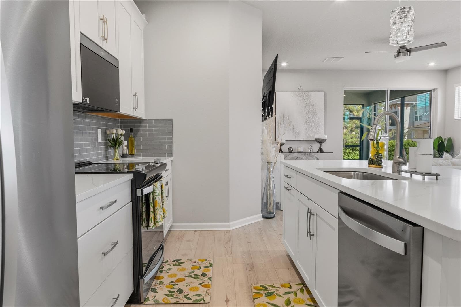 Kitchen + stainless steel appliances - 4062 CLOUD HOPPER WAY, LUTZ