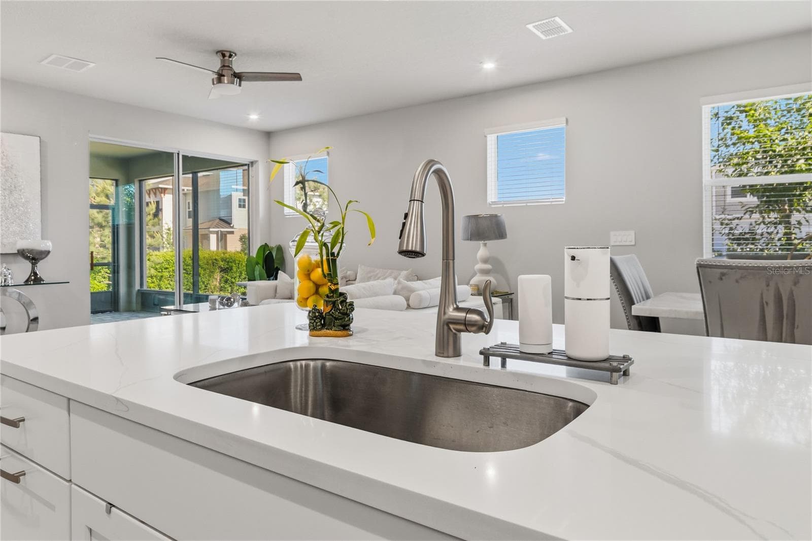 Opening floor plan with lots of natural light - 4062 CLOUD HOPPER WAY, LUTZ