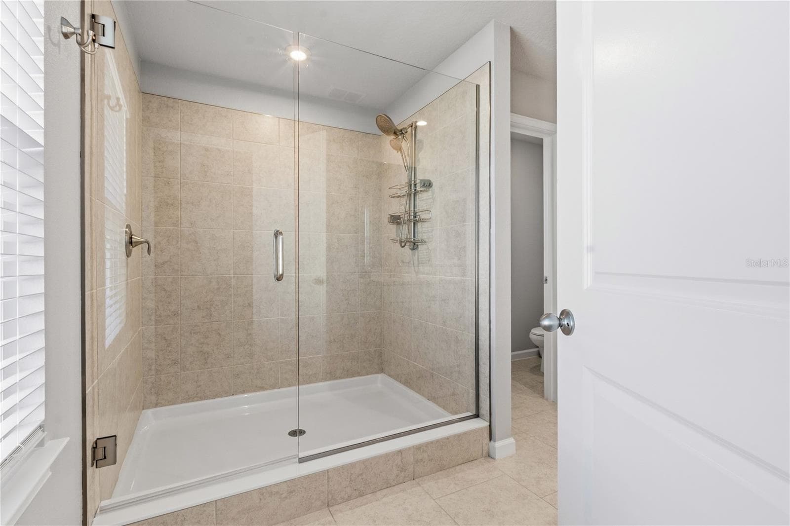 Master Bathroom stand up glass shower - 4062 CLOUD HOPPER WAY, LUTZ