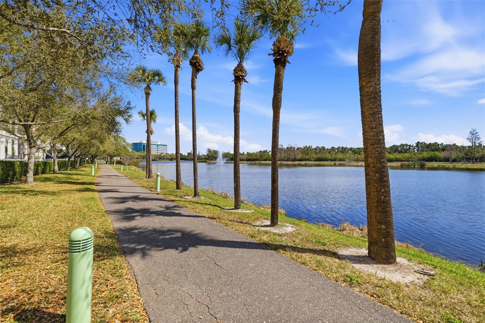 Townhouse at 615 SAXONY BLVD, ST PETERSBURG, photo 66 of 78