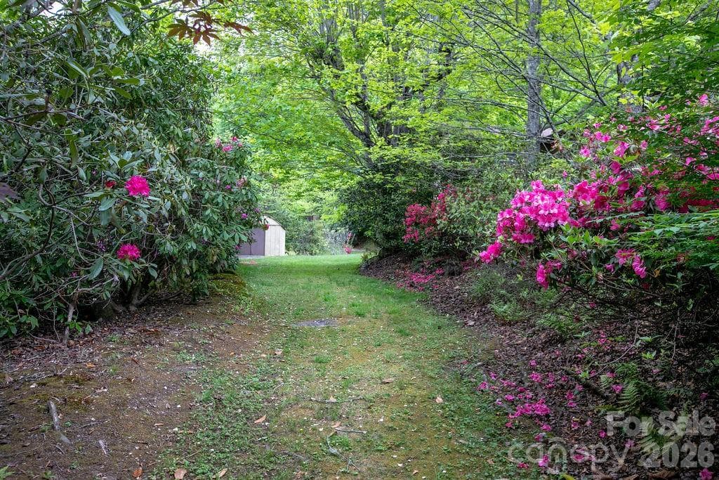Spring Blooms - 520 Blythe Road, Pisgah Forest