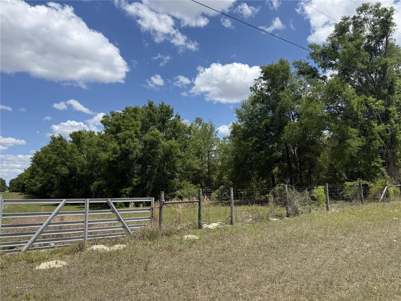 Land at 0 NW 140TH ST, CHIEFLAND, photo 2 of 33