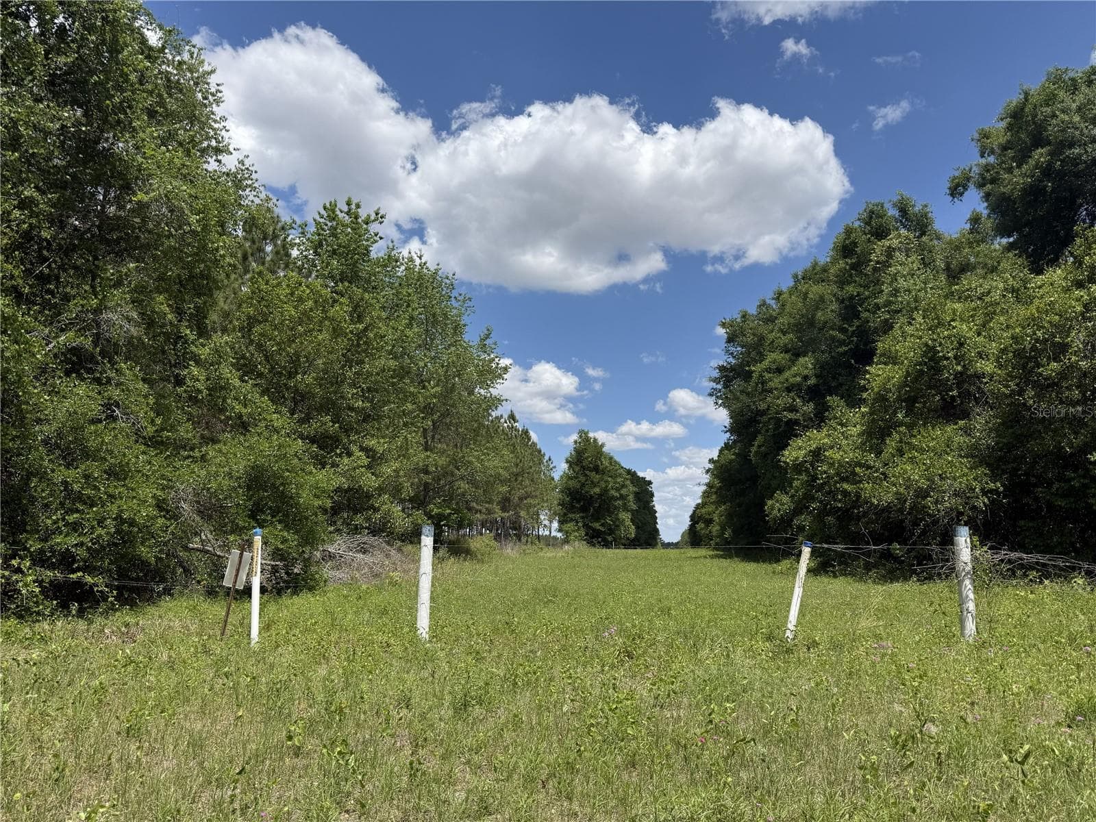 Land at 0 NW 140TH ST, CHIEFLAND, photo 6 of 33