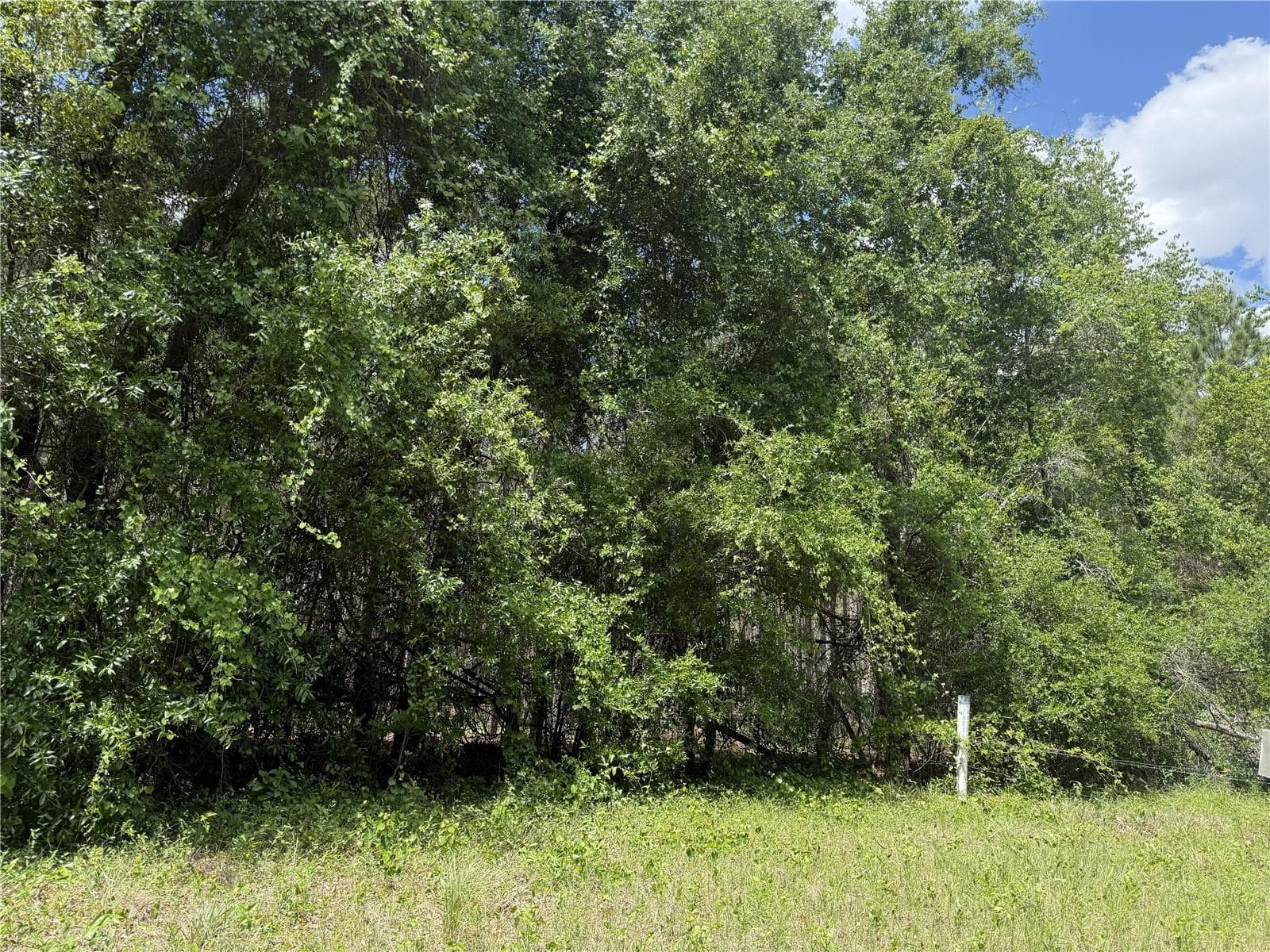 Land at 0 NW 140TH ST, CHIEFLAND, photo 7 of 33