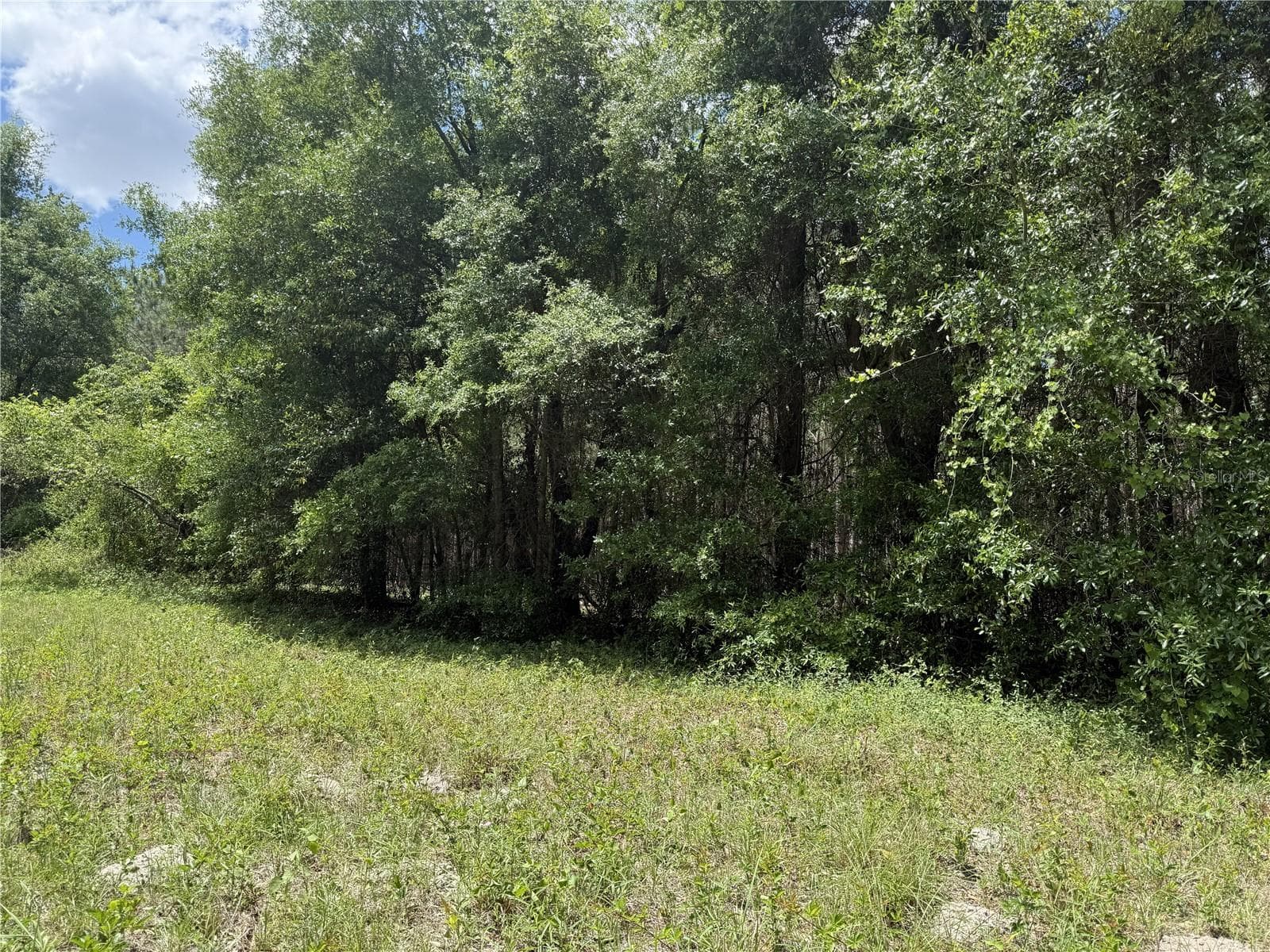 Land at 0 NW 140TH ST, CHIEFLAND, photo 8 of 33