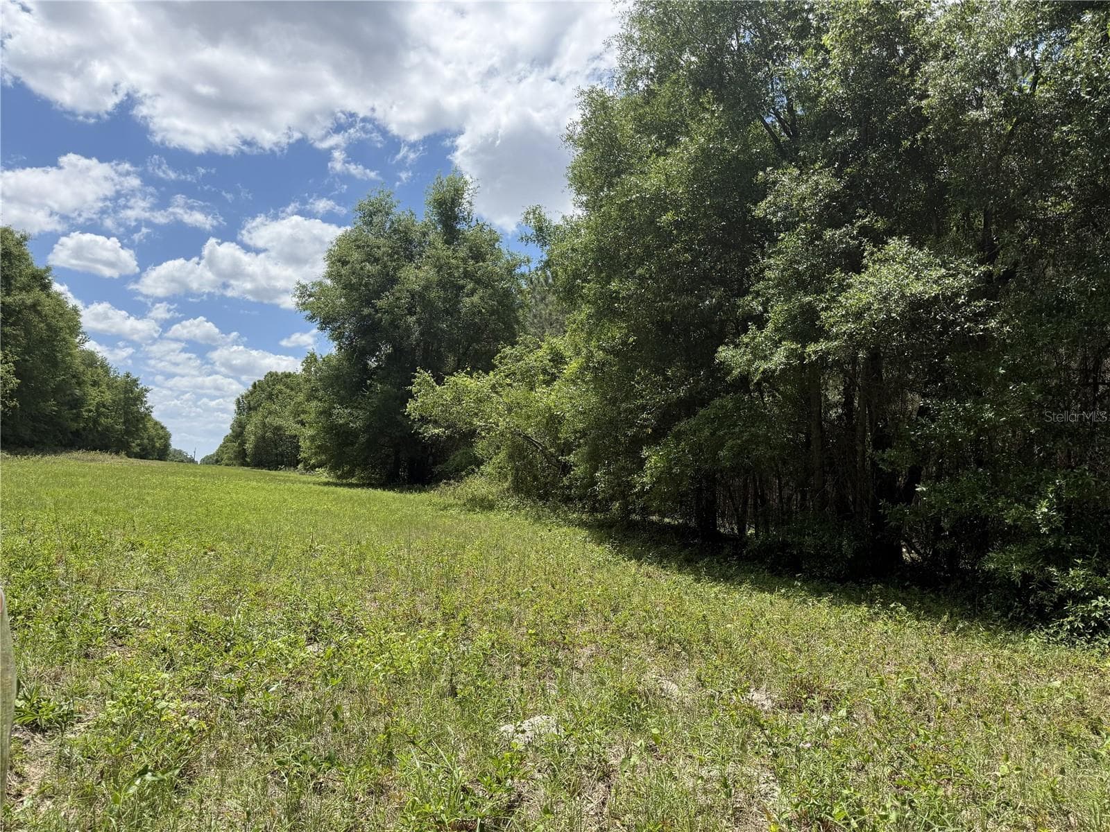 Land at 0 NW 140TH ST, CHIEFLAND, photo 9 of 33