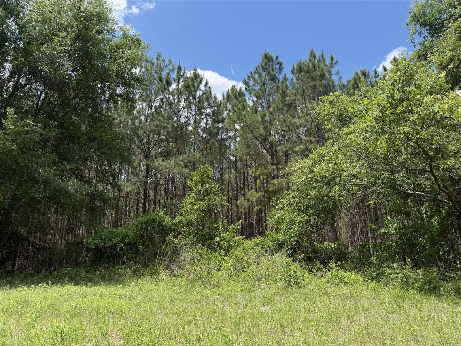 Land at 0 NW 140TH ST, CHIEFLAND, photo 10 of 33
