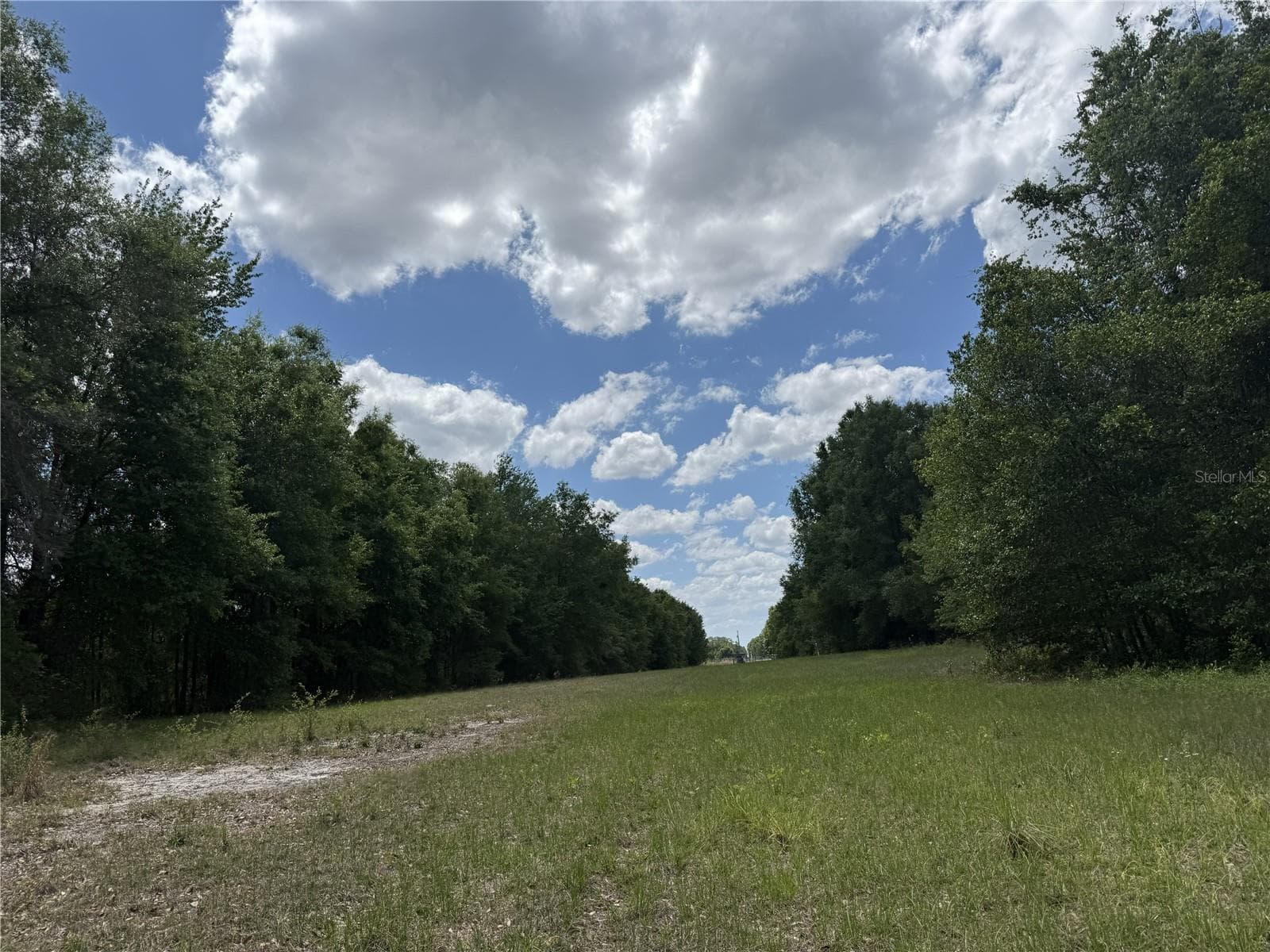 Land at 0 NW 140TH ST, CHIEFLAND, photo 12 of 33