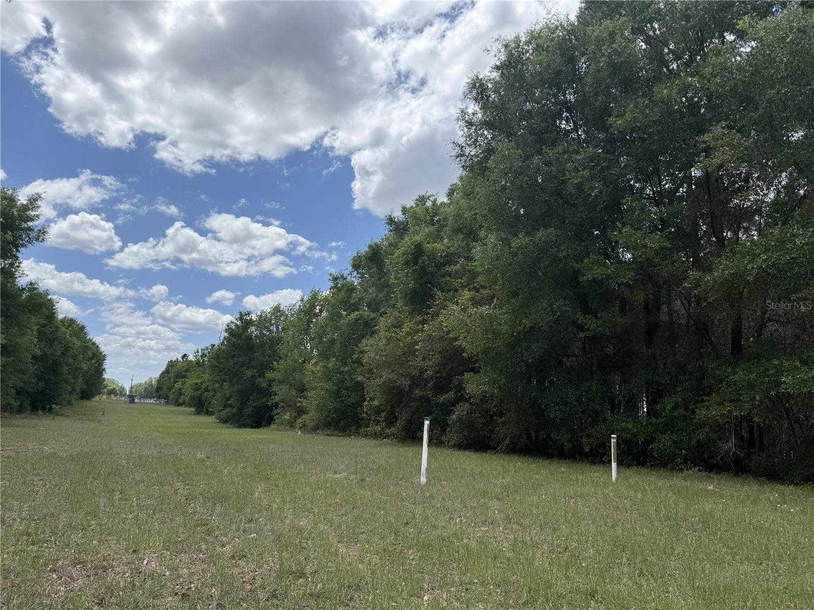 Land at 0 NW 140TH ST, CHIEFLAND, photo 14 of 33